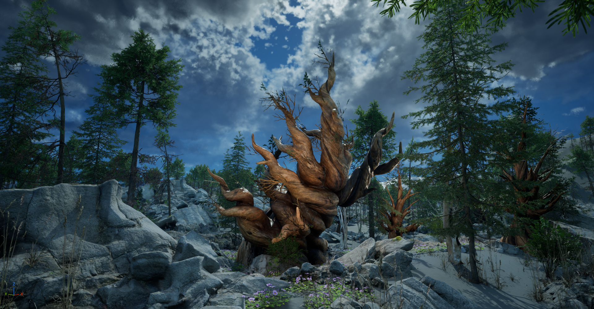 Bristlecone Pine Trees Study