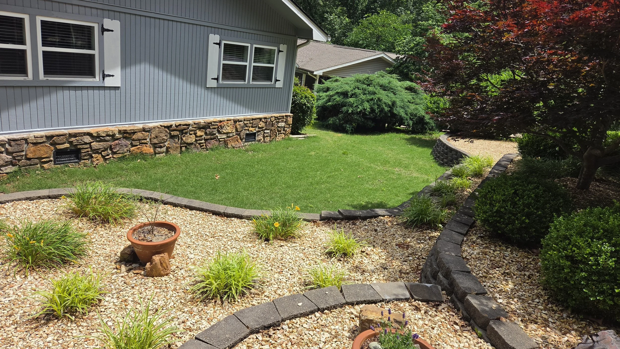 A landscaped backyard with a well-maintained lawn, decorative stone and brick borders, and a variety of plants and shrubs, including a small potted plant in the foreground and a large red-leafed tree on the right.