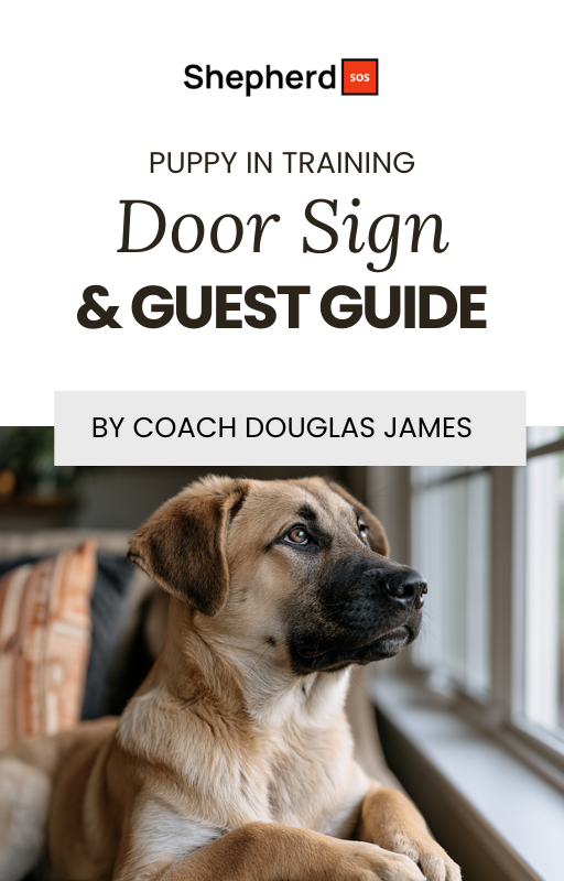 Puppy In Training Door Sign & Guest Guide