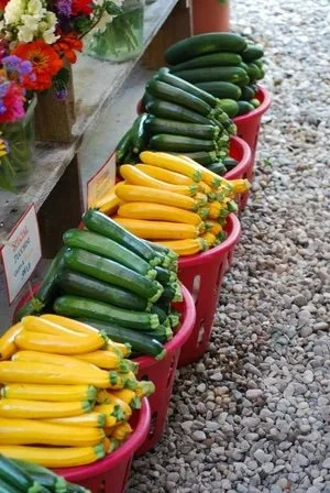 Yellow and green zucchini stored in red planters at an outdoor market.