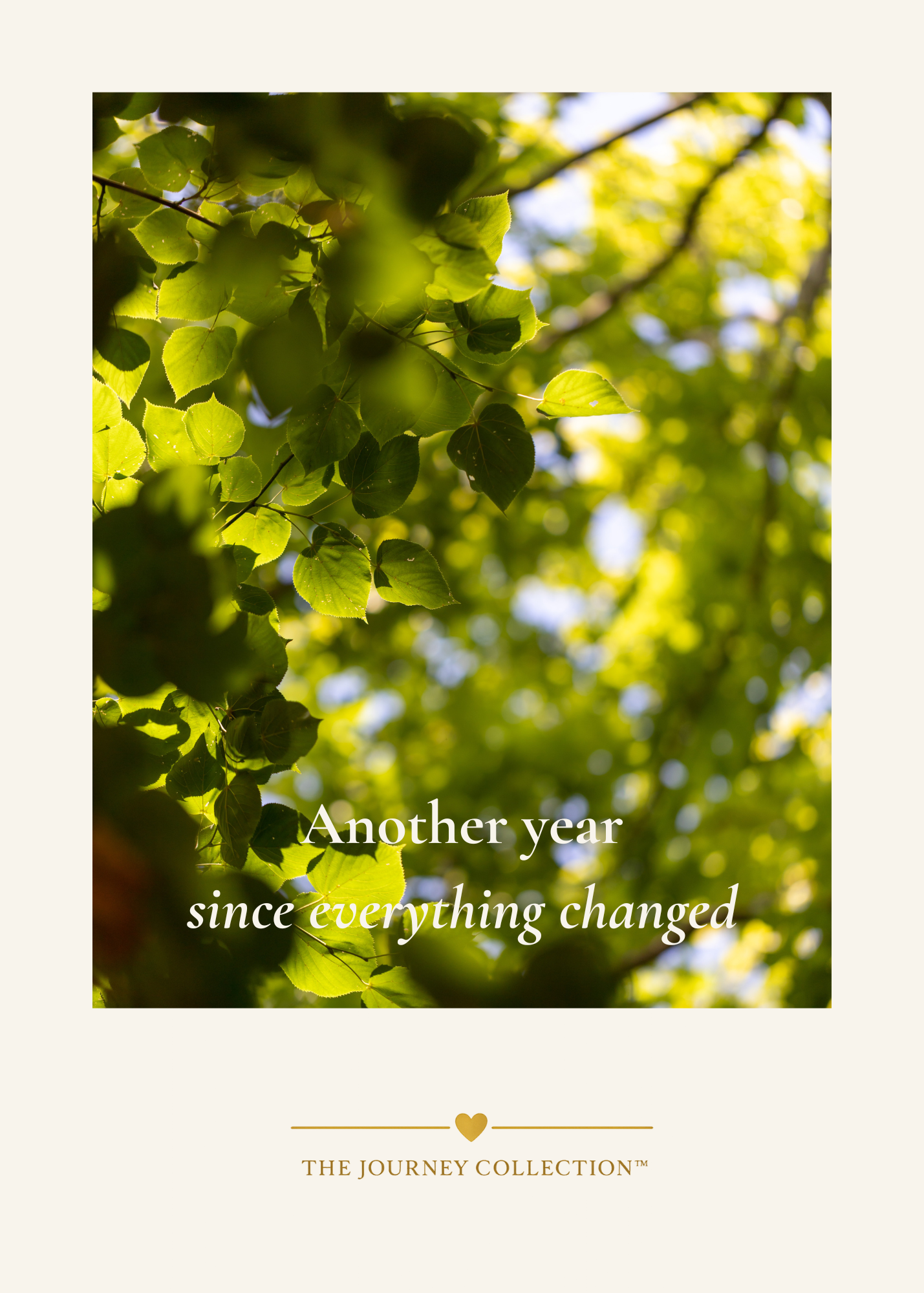 Front Cover.png