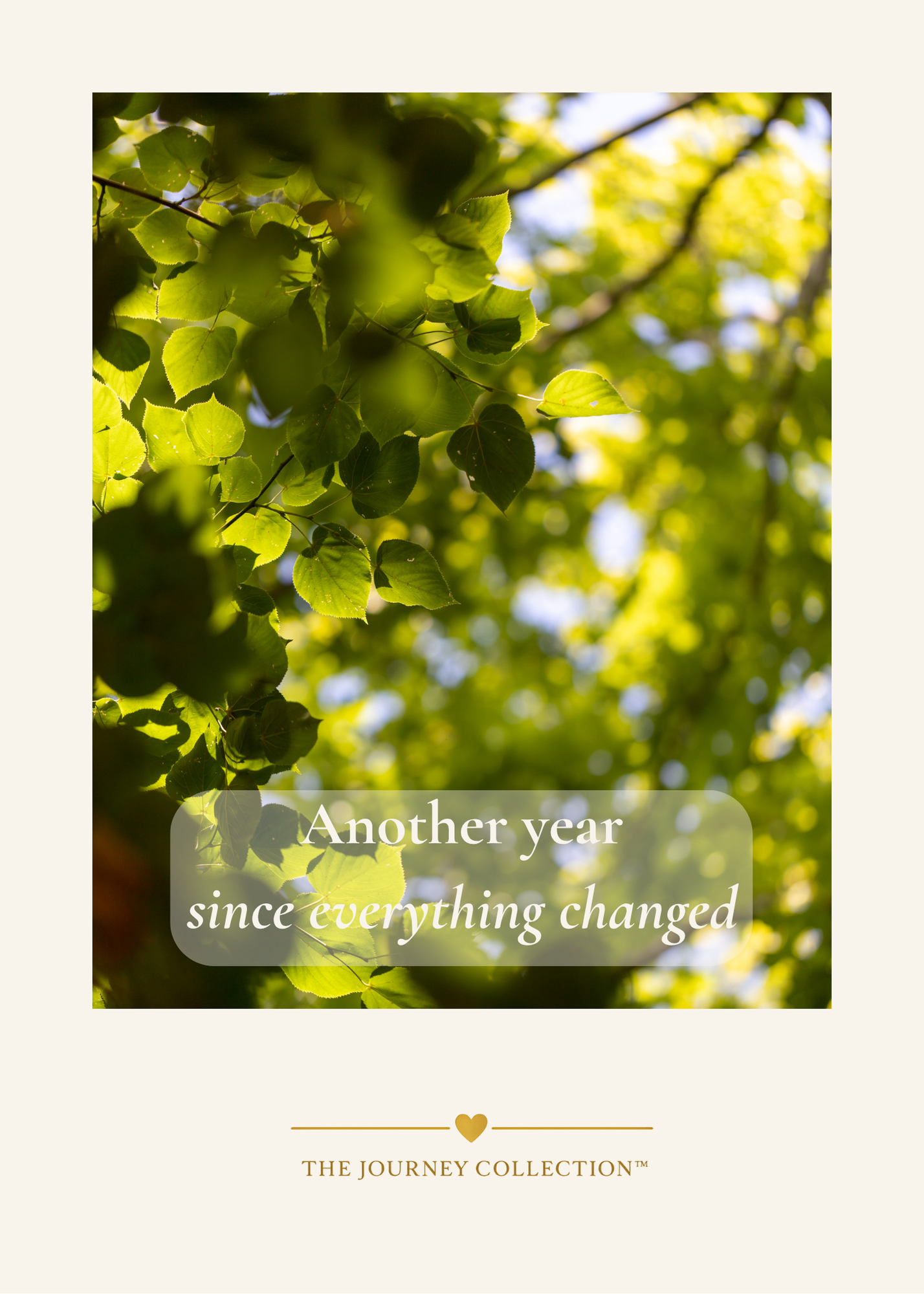 Front Cover.png