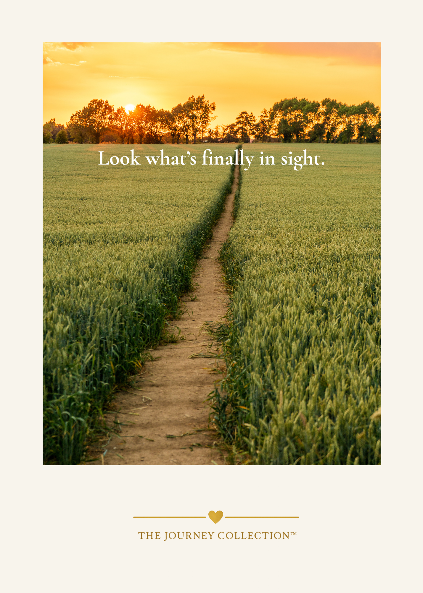 Front Cover.png