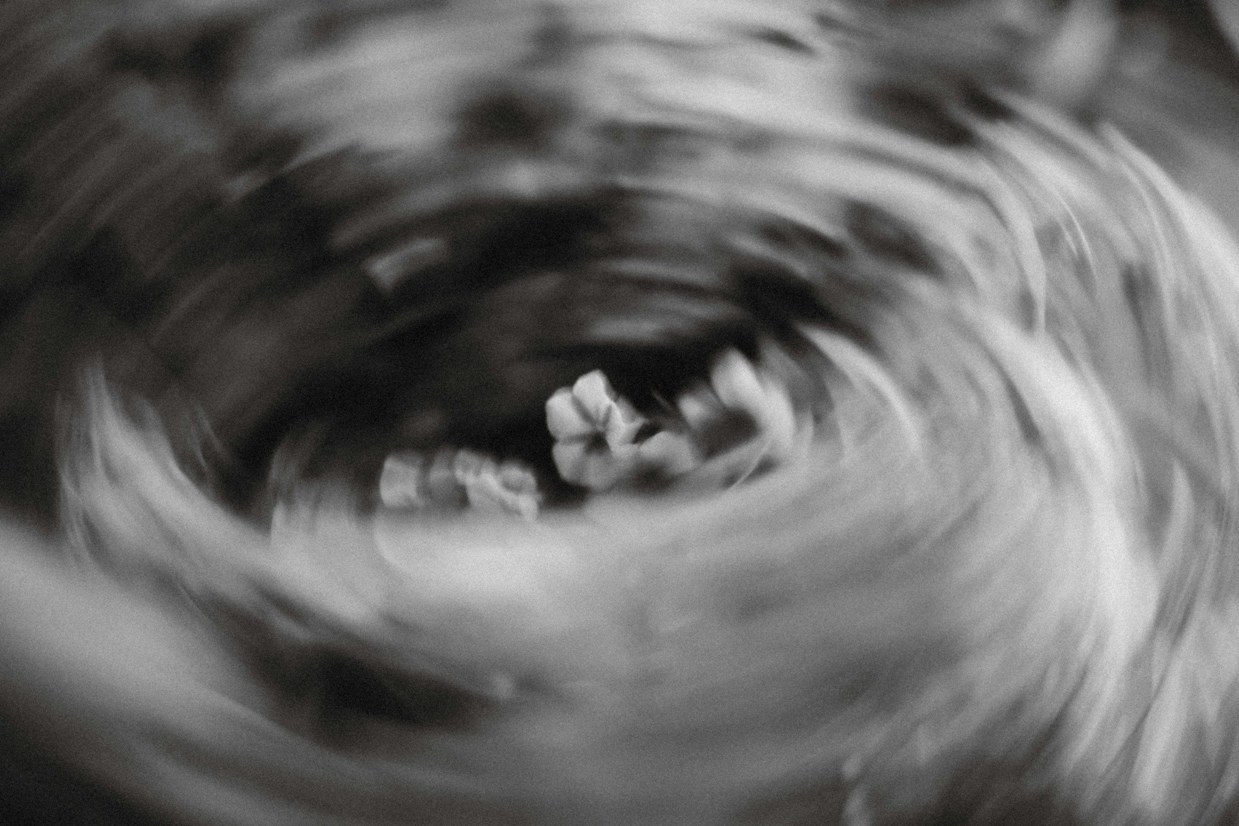 unsplash-image-kiFAolZR4Fc.jpg