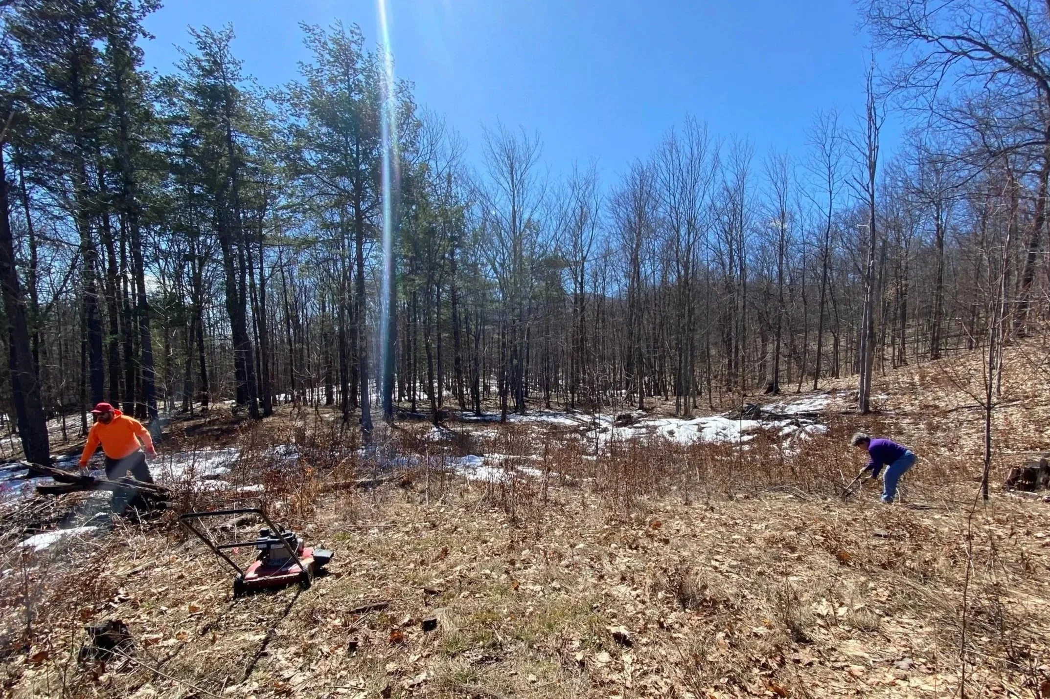 People doing yard work or clearing debris in a wooded outdoor area on a sunny day with snow on the ground.