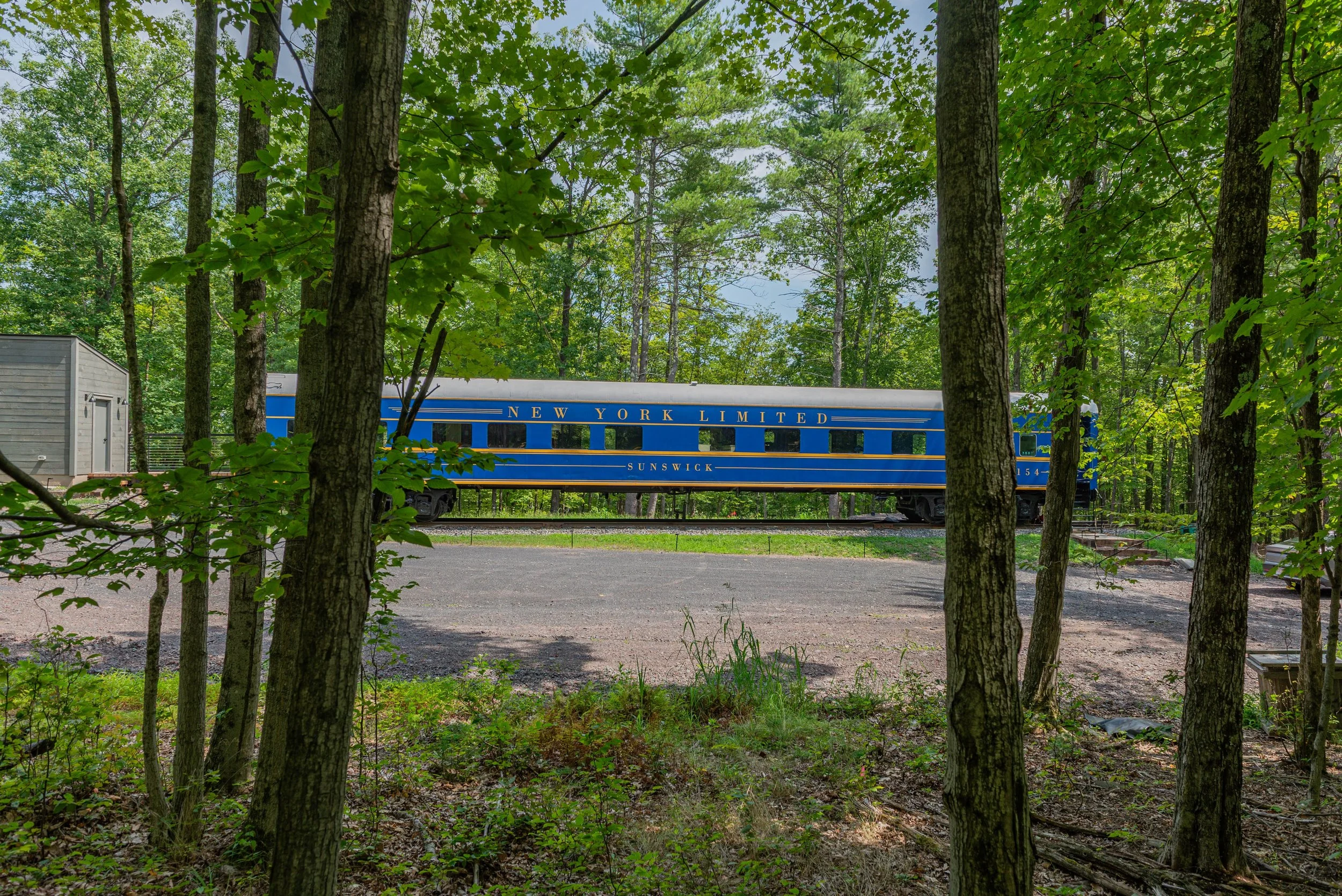 A railroad train painted blue with gold accents and the words "New York Limited Sunswick" written on it, partially obscured by trees in a wooded area.