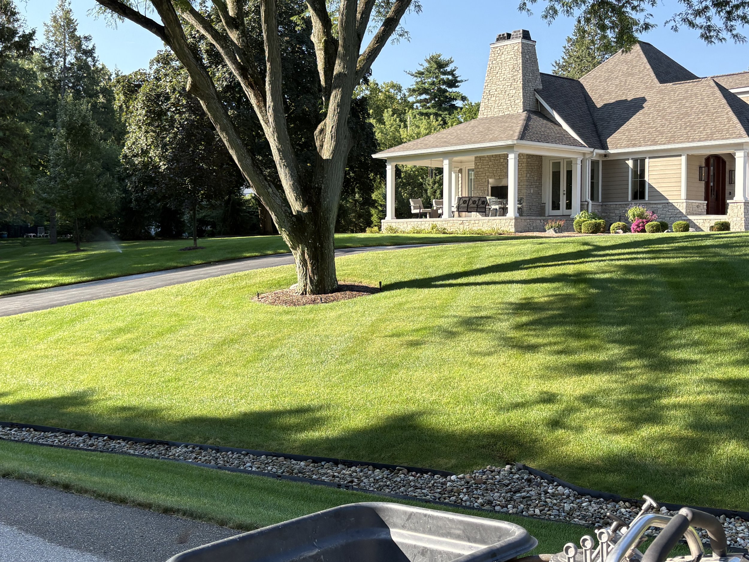 Beautiful Lawn Zoomed.jpg