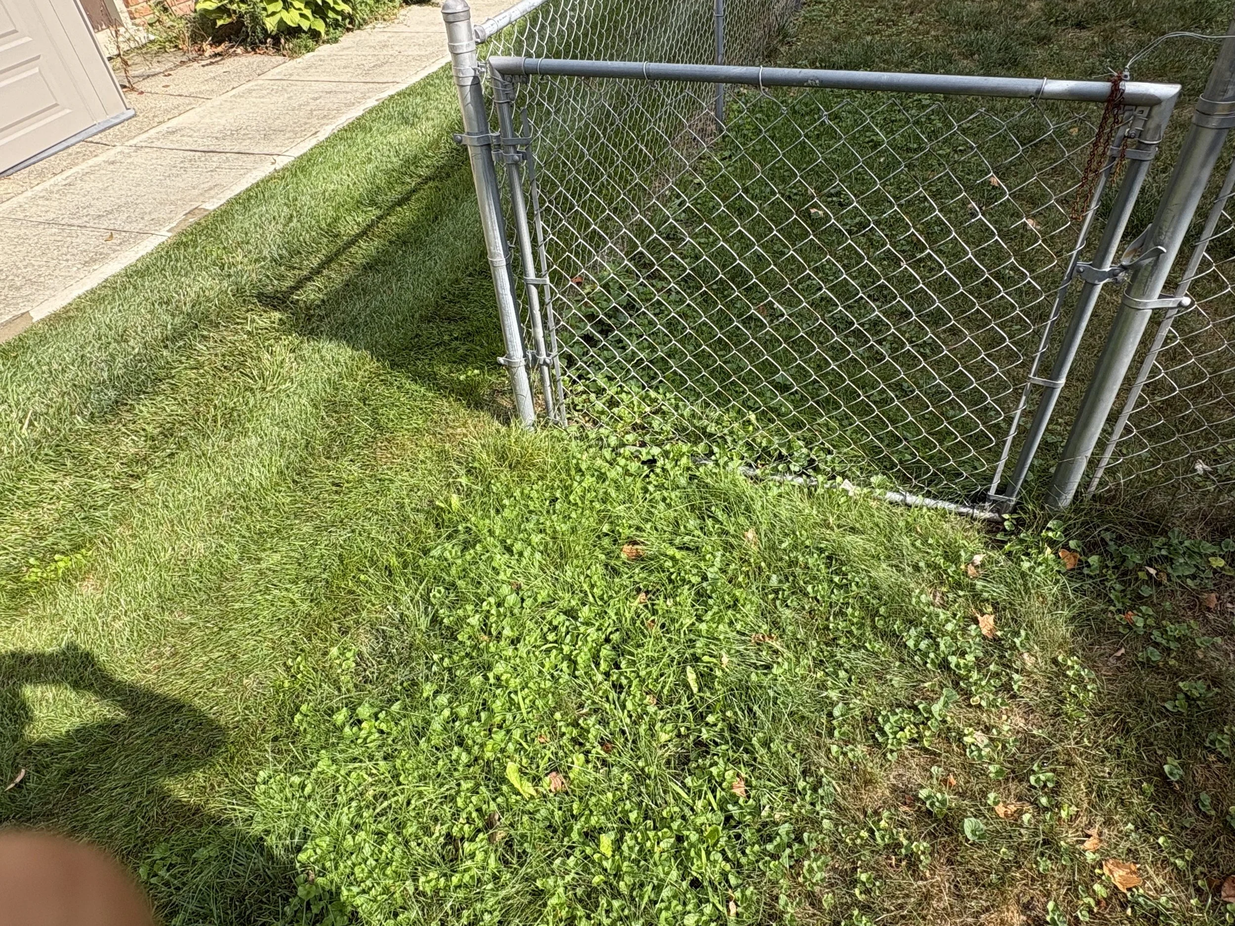 A metal chain-link gate with a latch is partially open, leading to a grassy yard. To the left, a concrete sidewalk runs along a house with a beige door. The grass is green and lush.