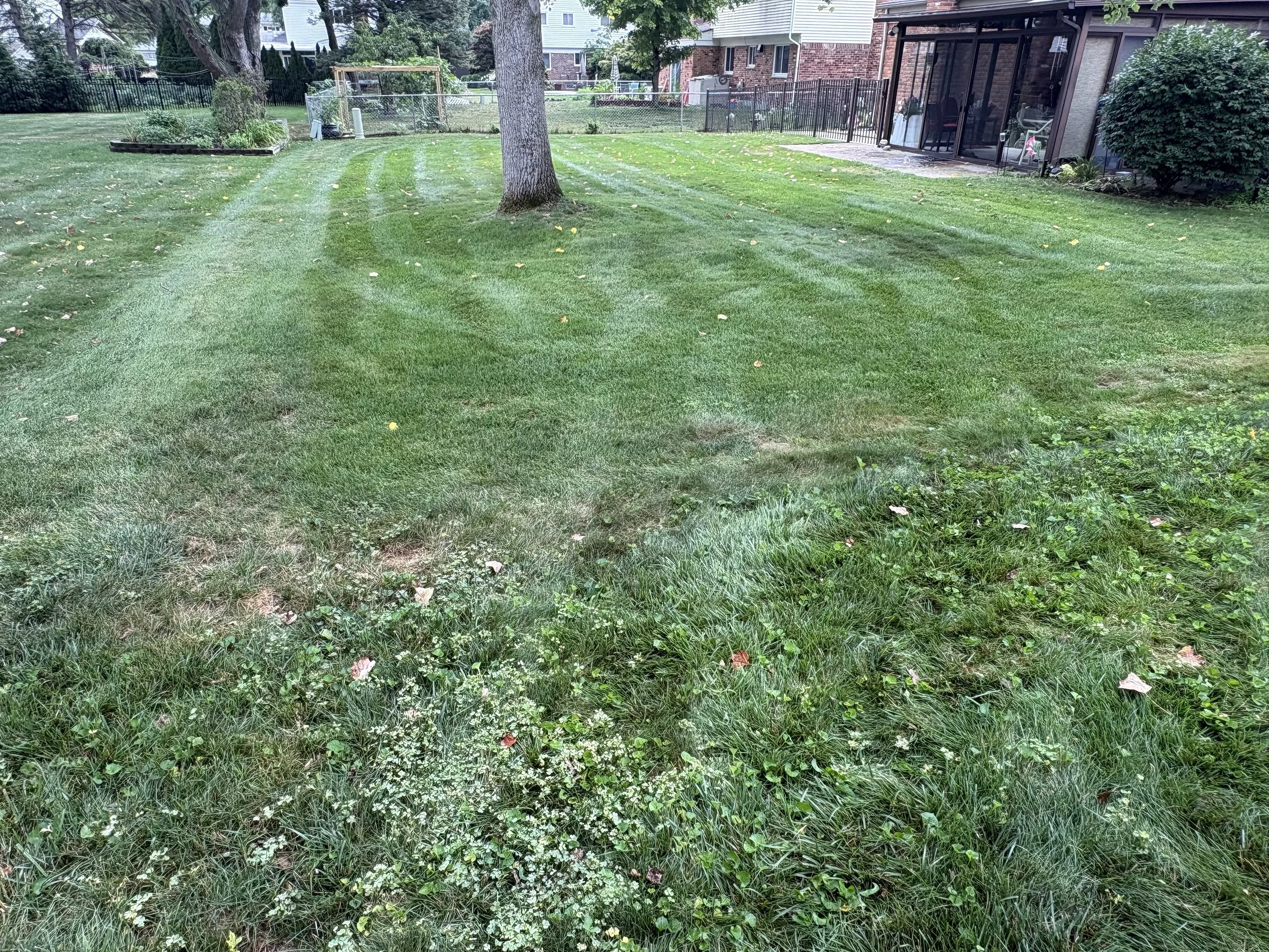 A residential backyard with a well-maintained lawn, trees, a flower bed, a patio area, and a screened porch.