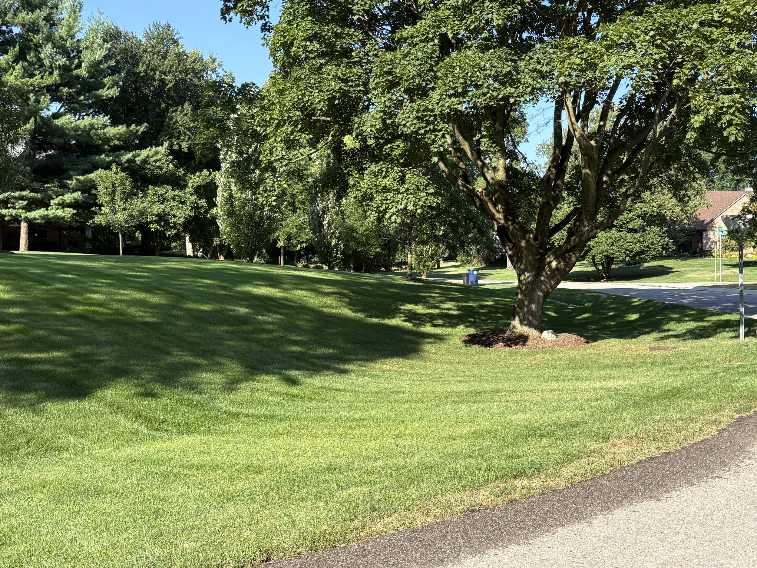 A residential neighborhood park with lush green grass, large trees, a sidewalk, a trash can, and a street sign visible in sunny weather.