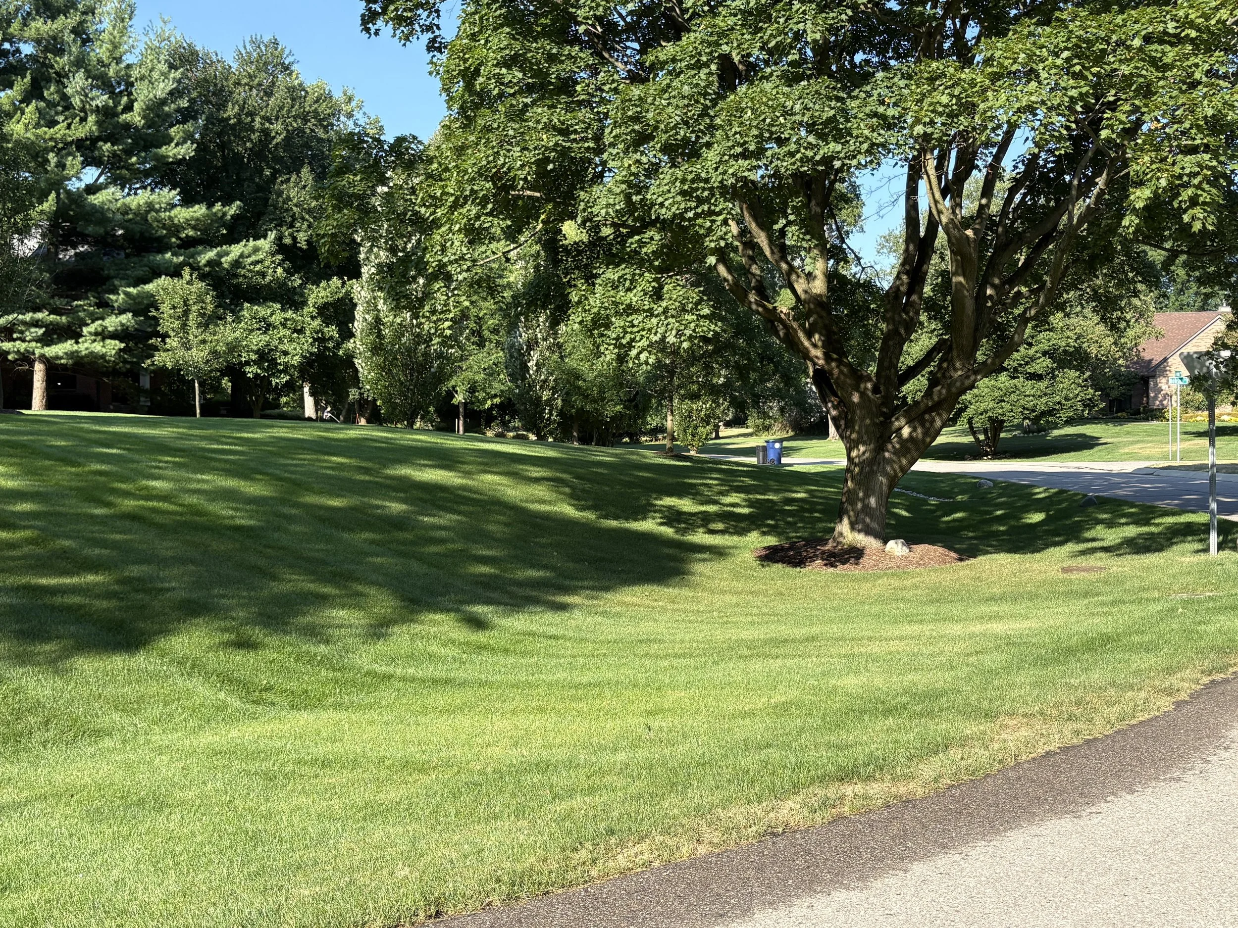 Beautiful Lawn 3.jpg