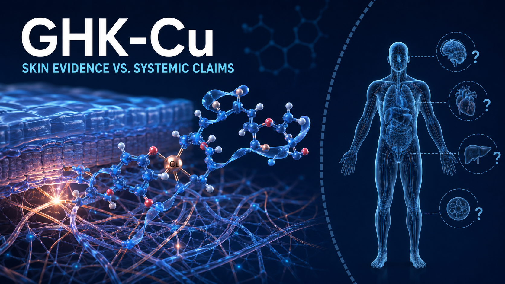 GHK-Cu: Skin Evidence Versus Systemic Claims