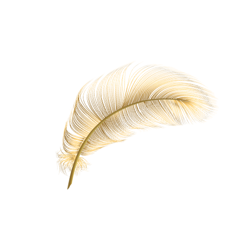 Golden feather with intricate details against a black background.