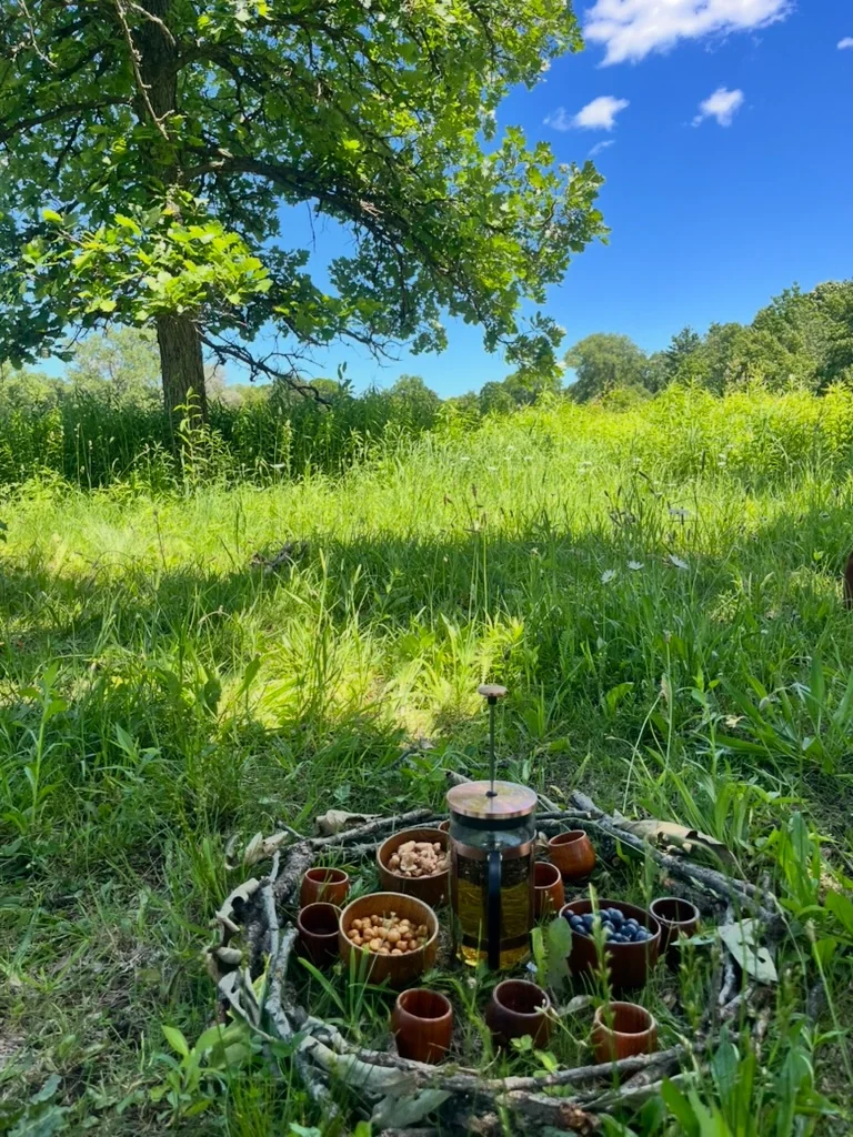 Outdoor woodland-inspired picnic arrangement with a glass carafe, bowls of snacks, and cups in a grassy meadow beneath a large tree.