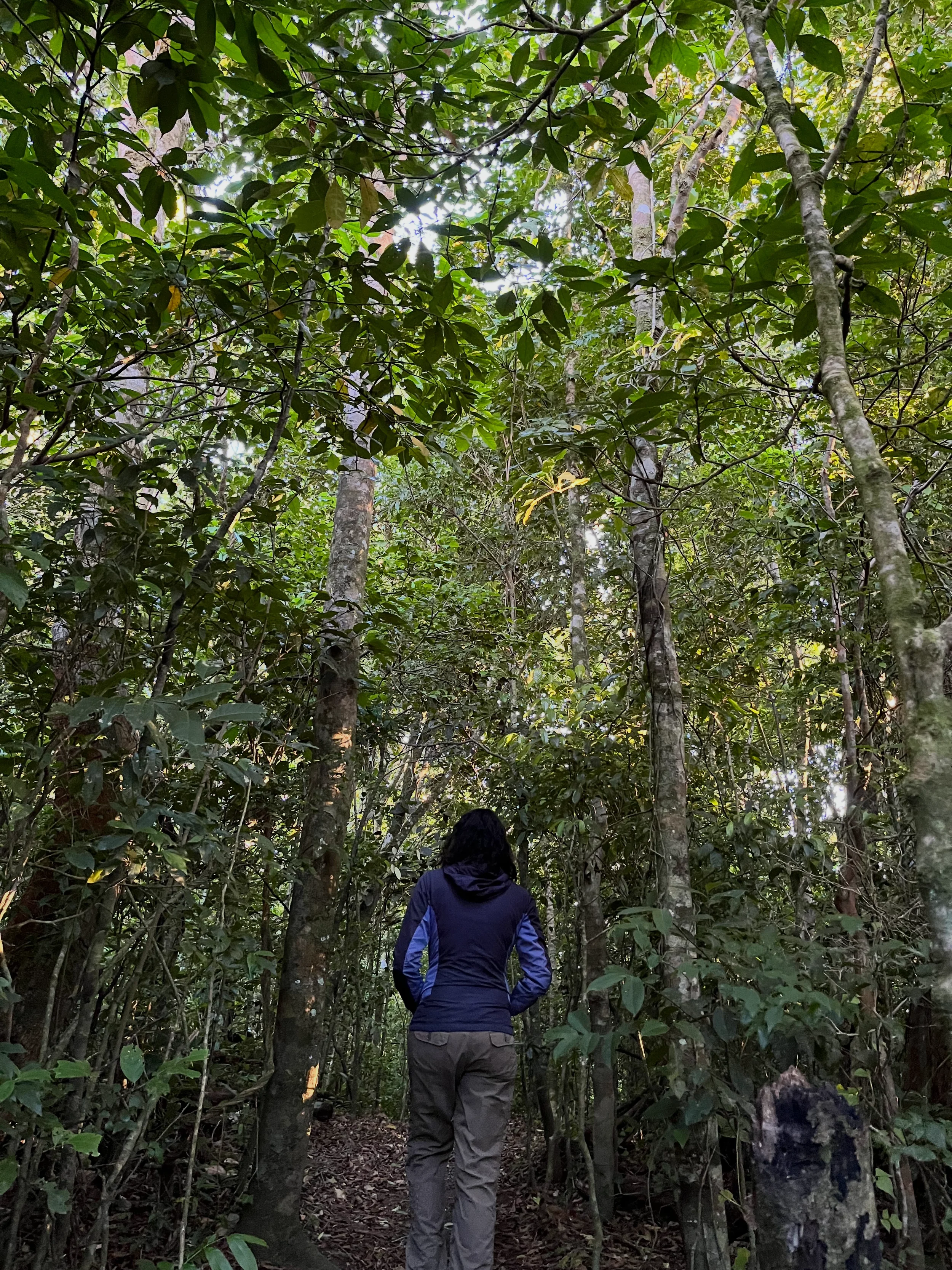 Woman standing in the middle of trees