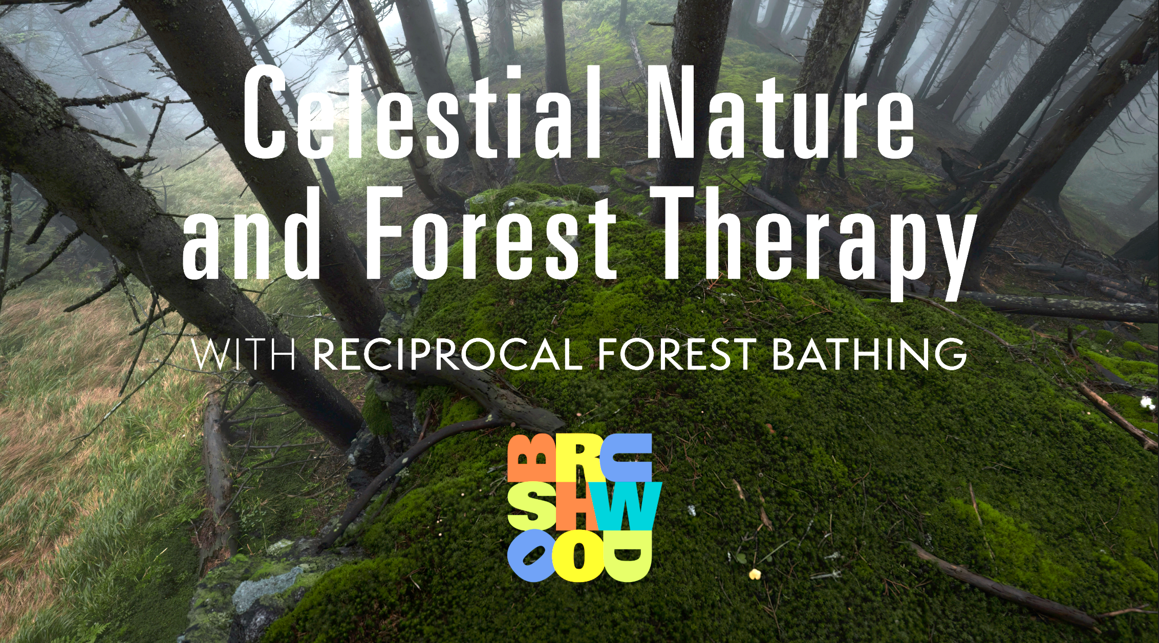 Celestial Nature and Forest Therapy: Hunter Moon
