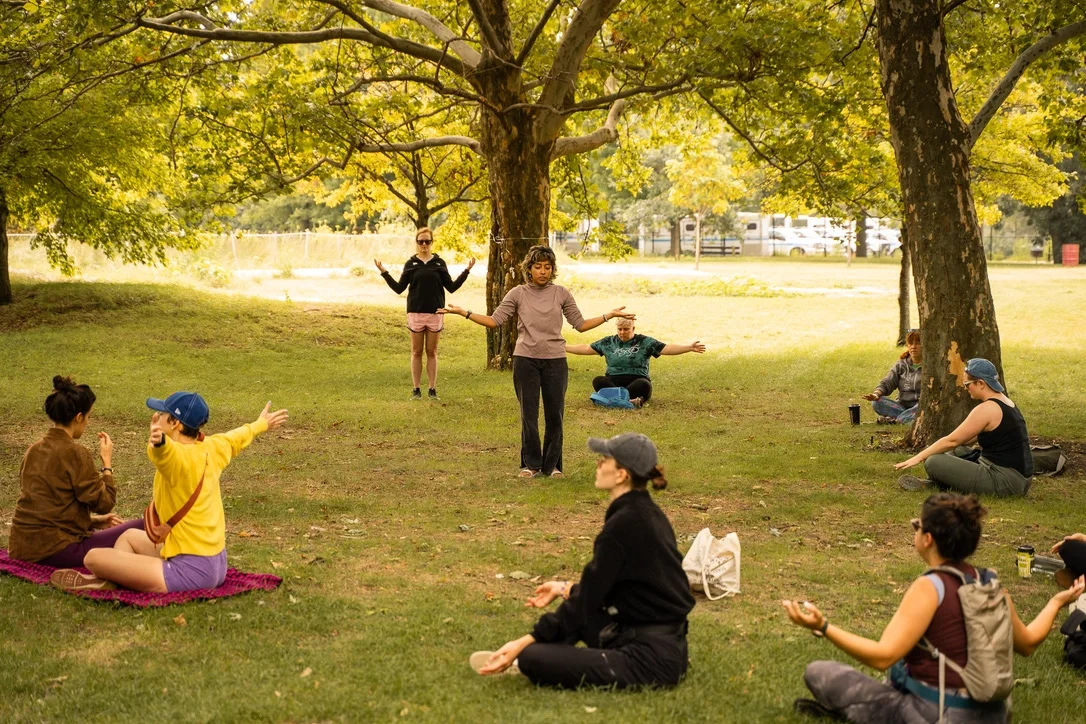 Group practicing yoga and meditation outdoors under large trees in a park