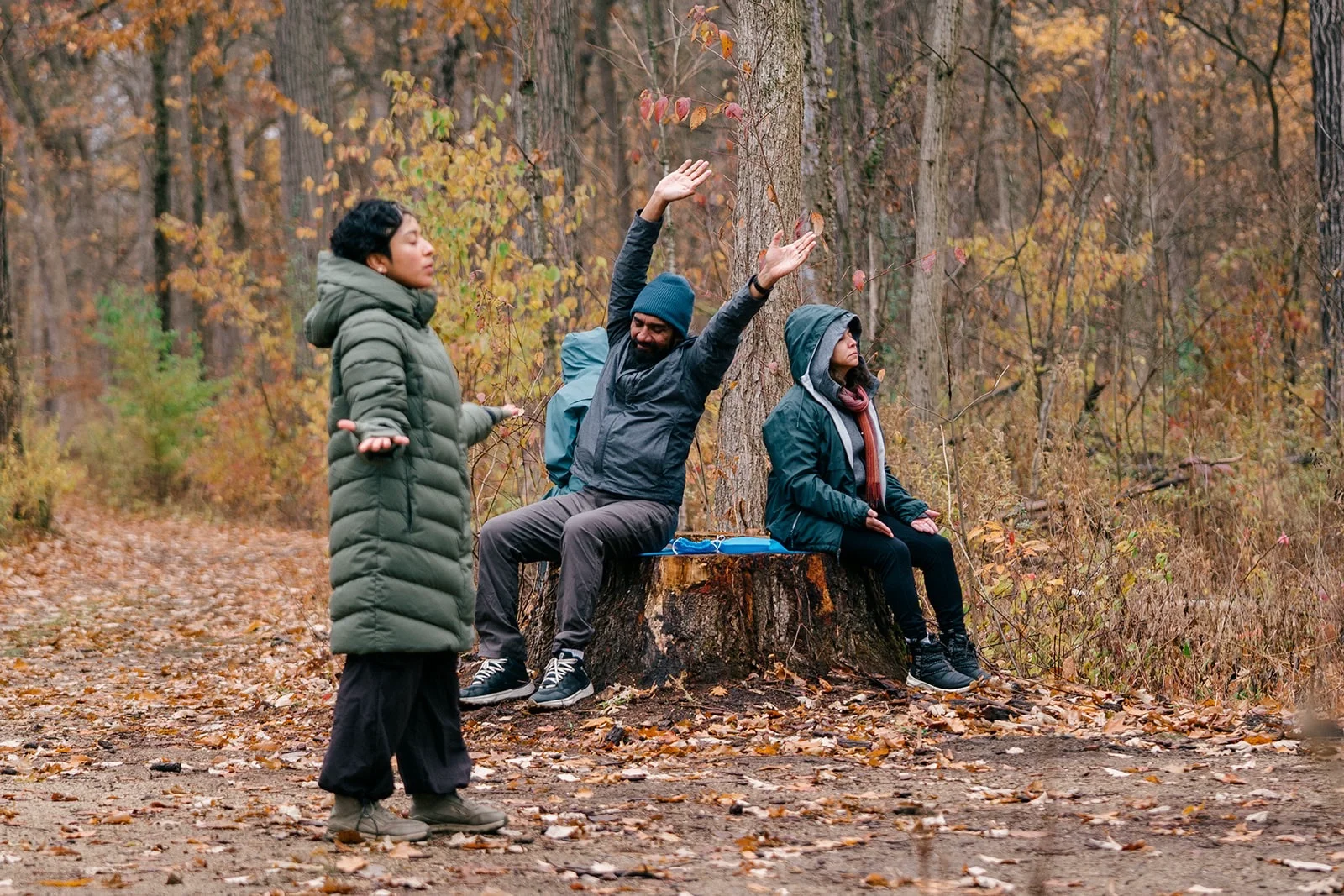 Three people practicing yoga in an autumn forest, with two seated on a tree stump and one standing with arms outstretched.