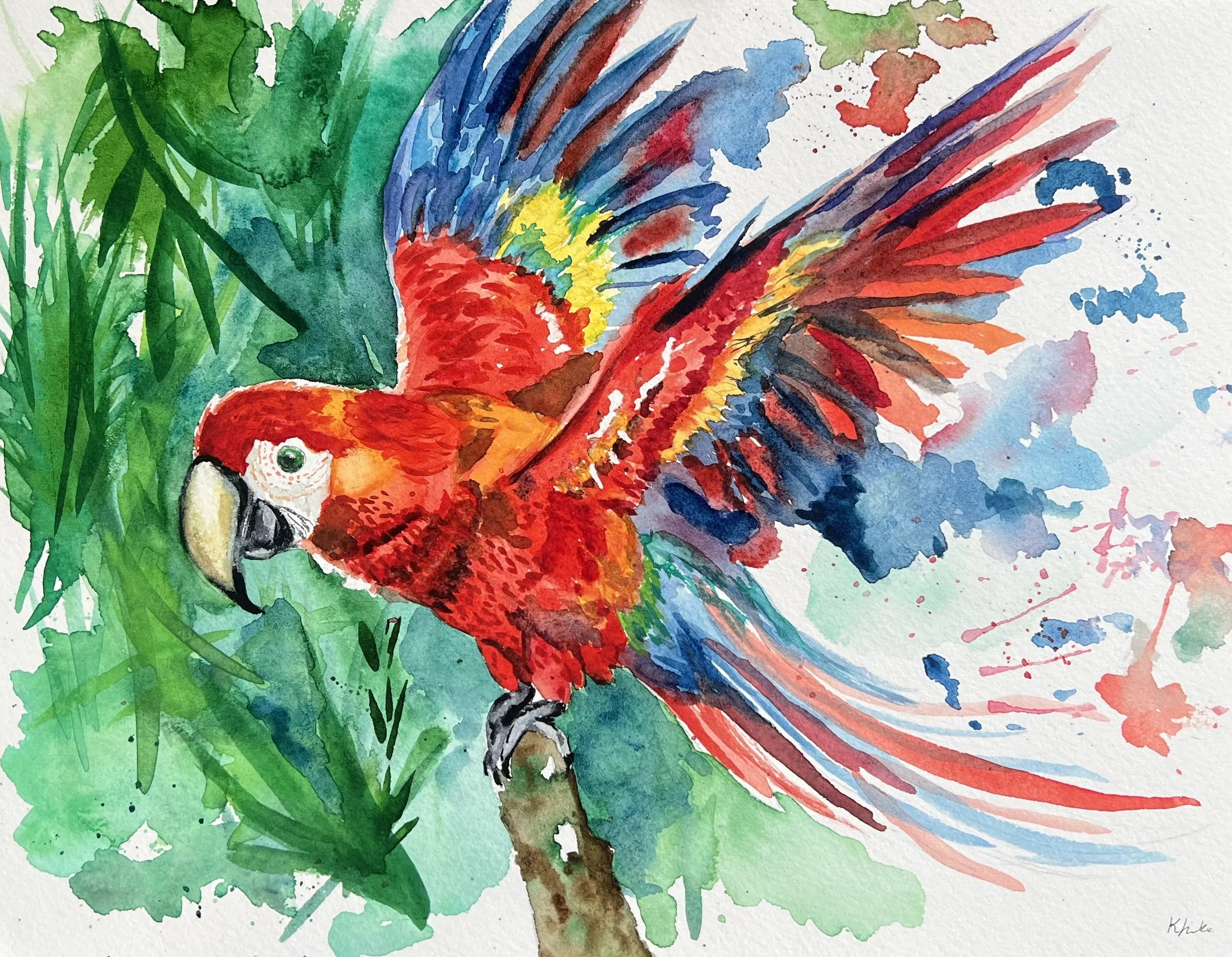 Macaw in Flight (2026)

Original watercolor on paper depicting a scarlet macaw taking flight amidst dense tropical foliage. The piece balances detailed, layered brushwork across the plumage with fluid, atmospheric wet-in-wet washes in the background.