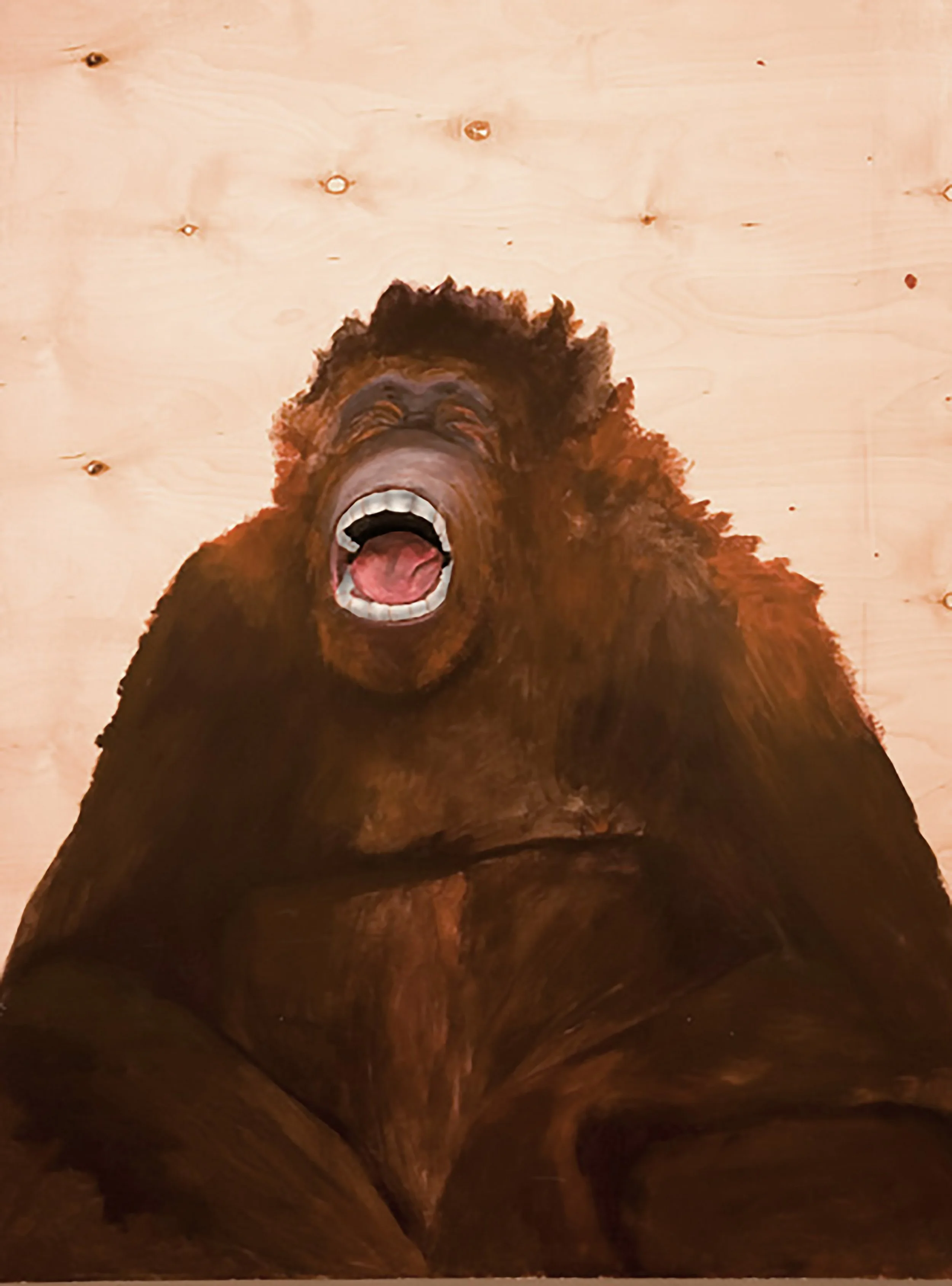 A red orangutan with its mouth open, making a face