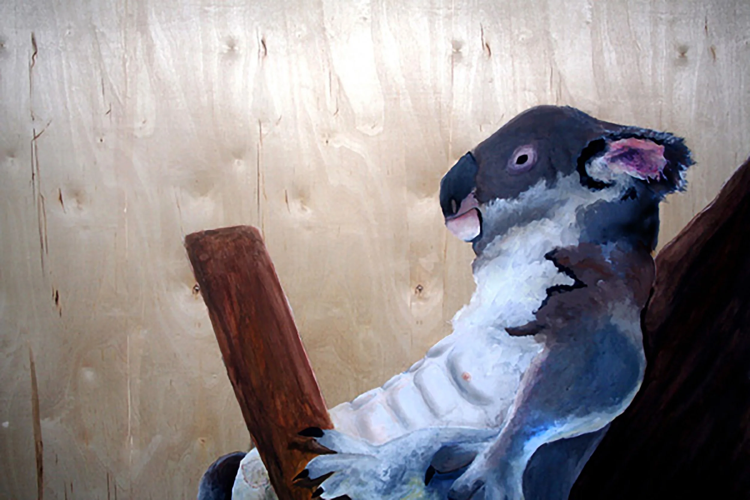 Painting of a koala with white chest, perched on a branch against a light wooden background.  The koala has a fake set of abs cut into its belly