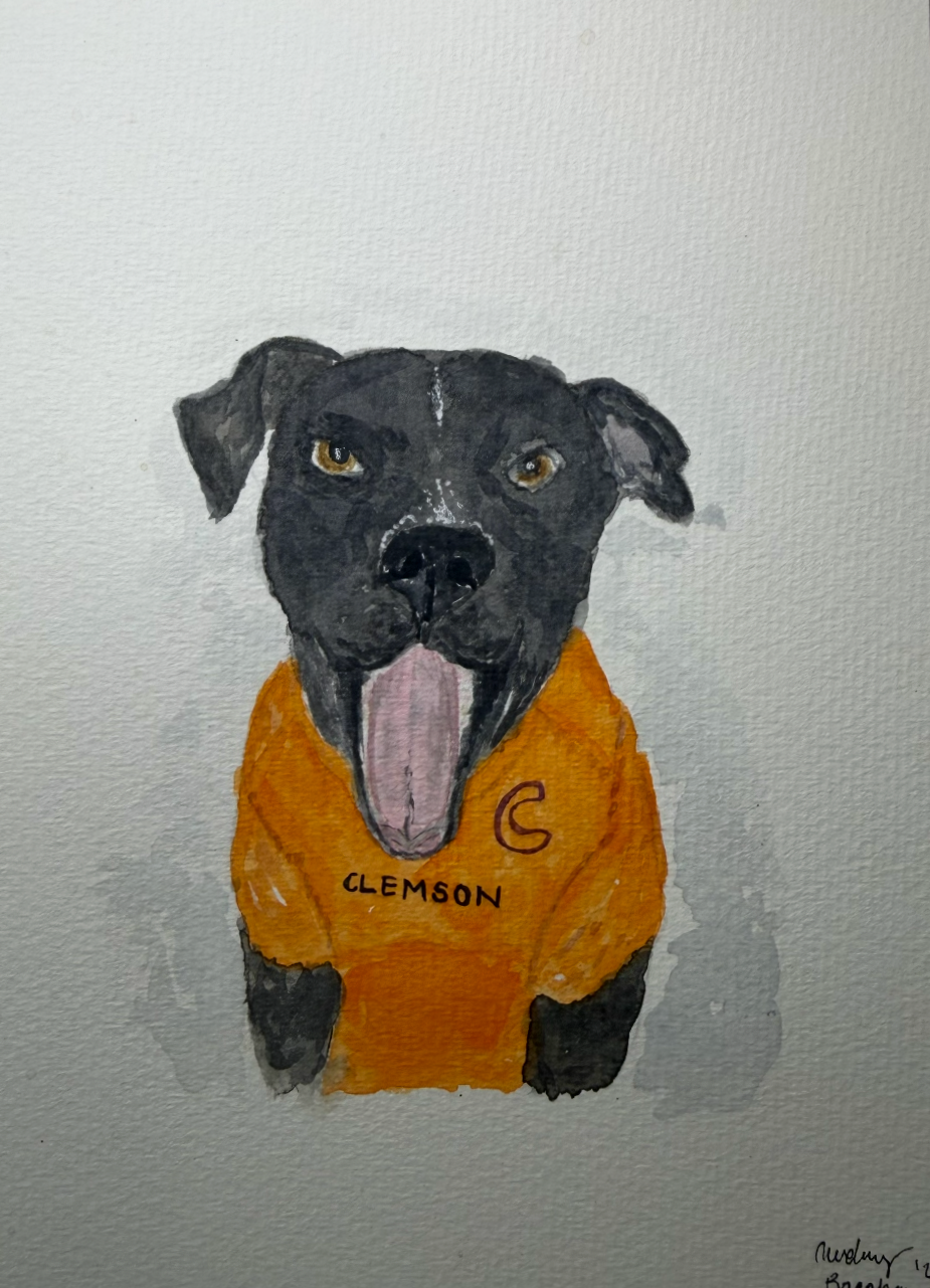 Watercolor painting of a black dog with a beard and brown eyes, wearing an orange Clemson University shirt with the letter 'C' on the front.