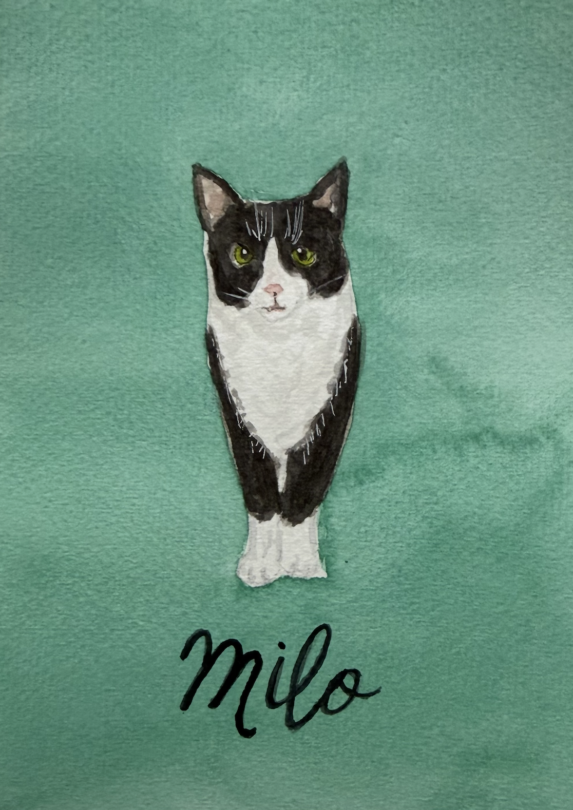 Add Pet Name