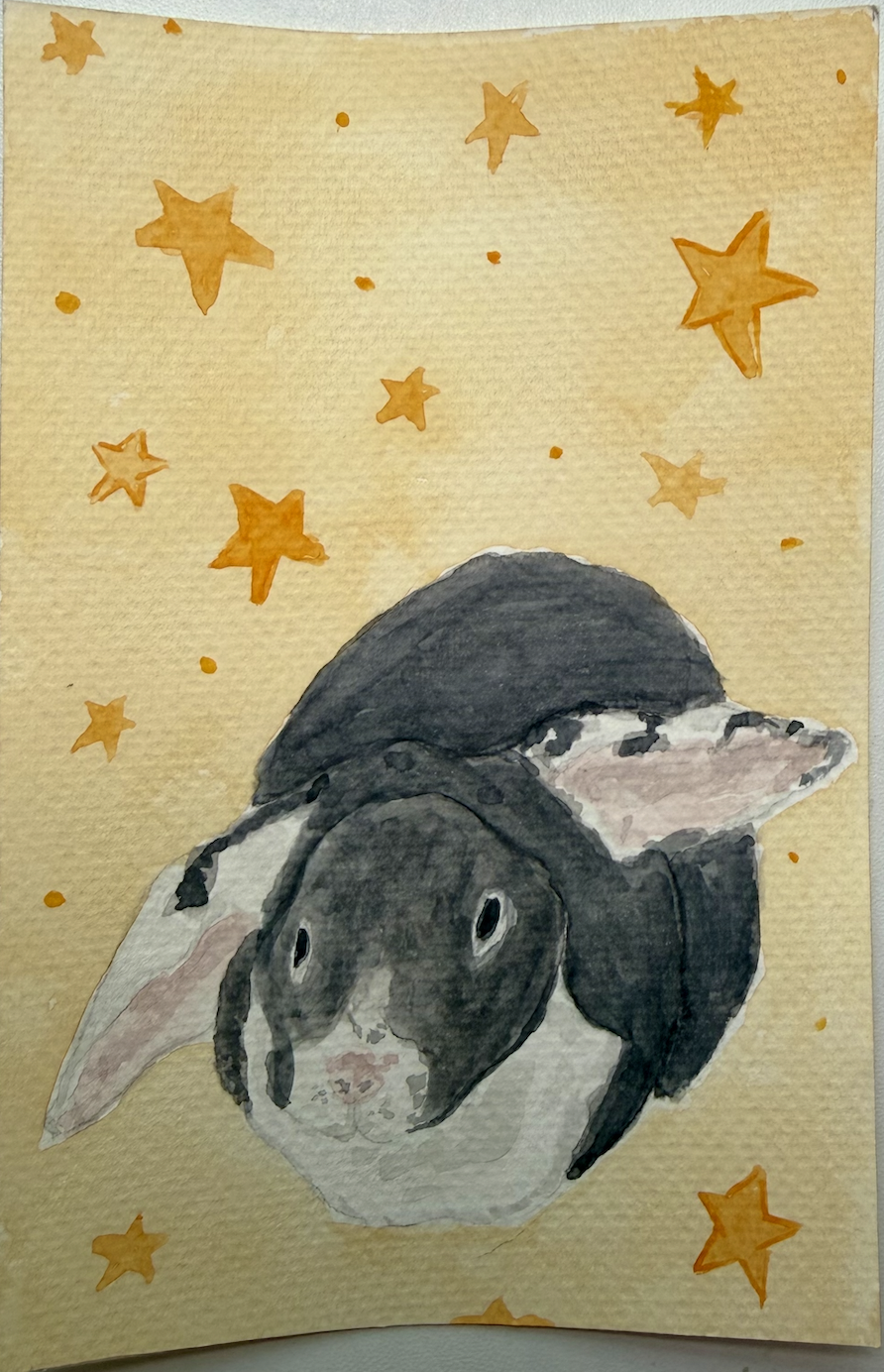 Add Decorative Background