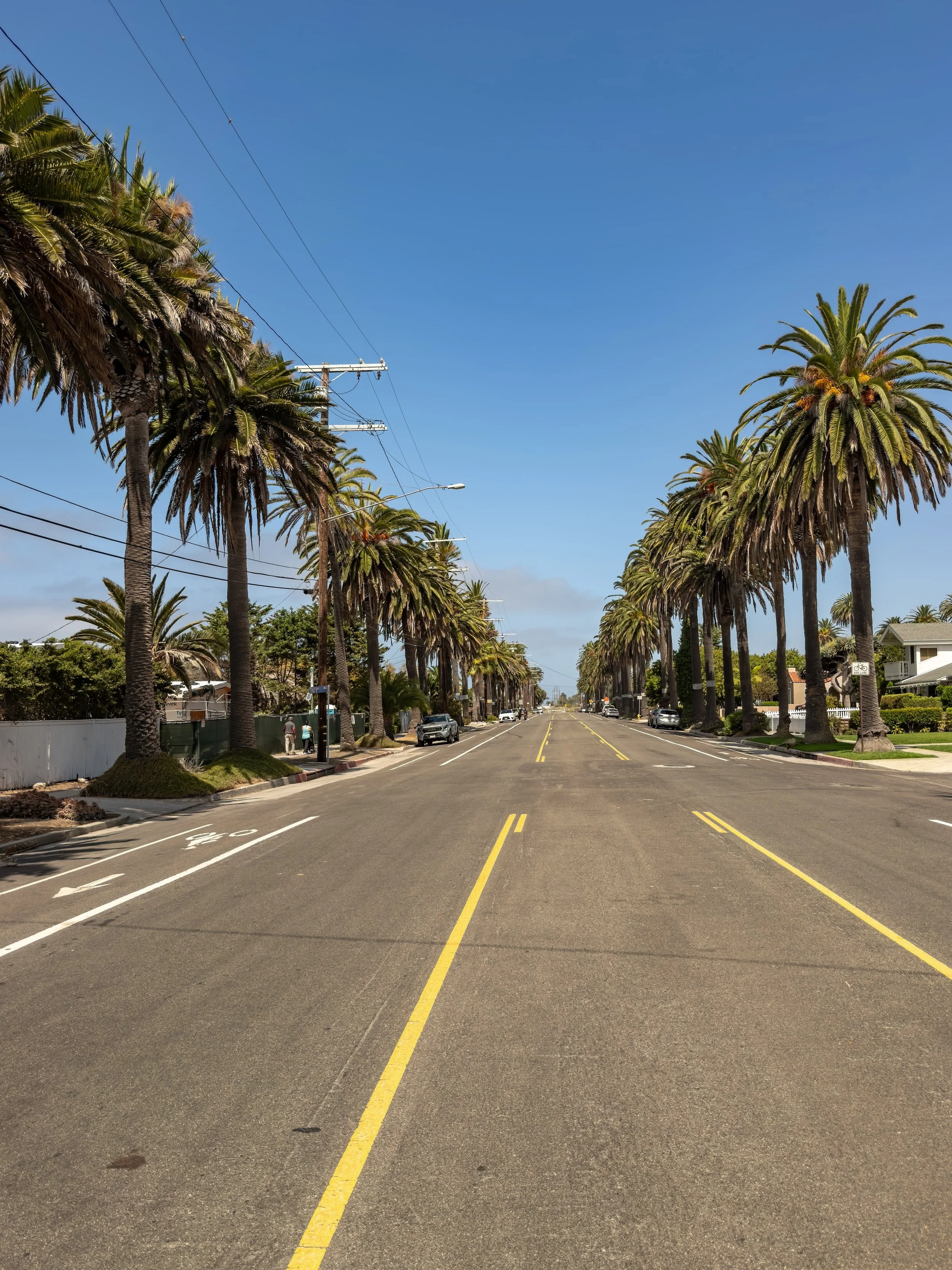 A wide street lined with tall palm trees on both sides, with parked cars and a few pedestrians, under a clear blue sky with visible power lines.