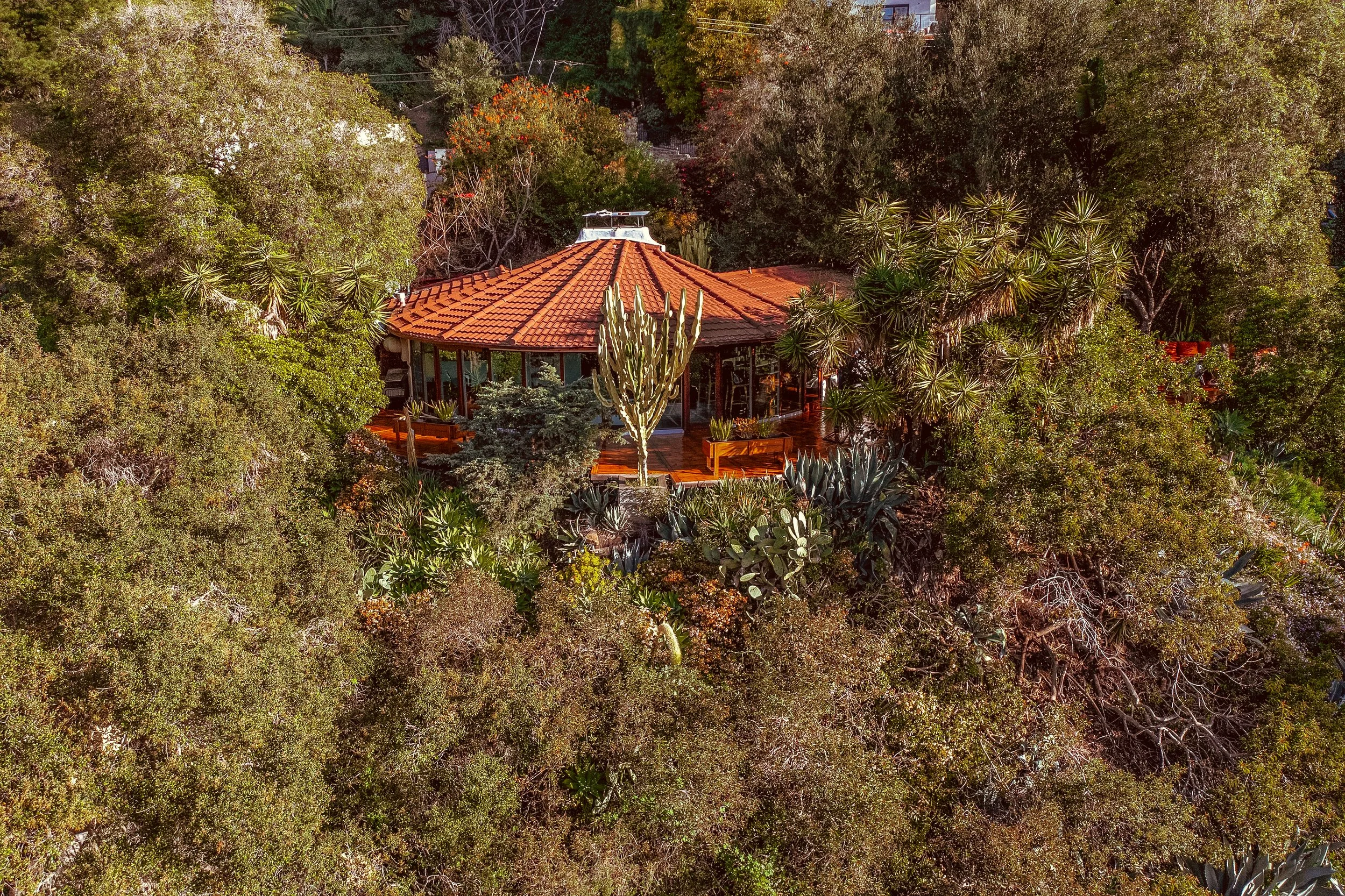 A house with a red tile roof surrounded by dense trees and desert plants, including cacti, viewed from above.
