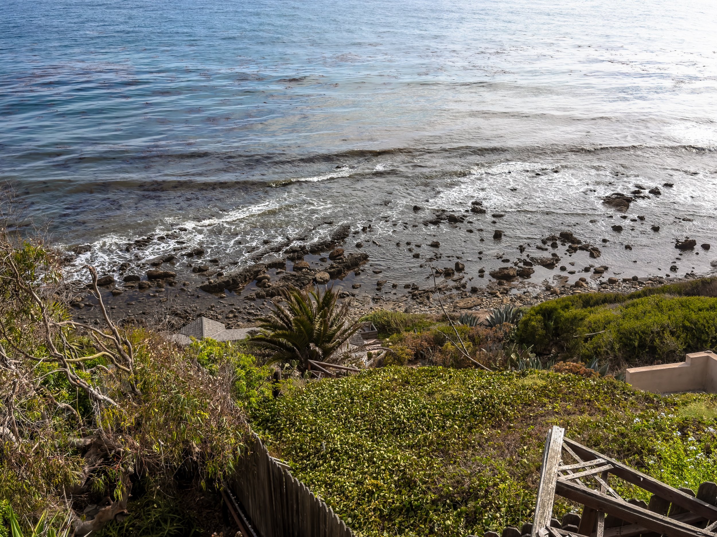 IMG_7677.jpg