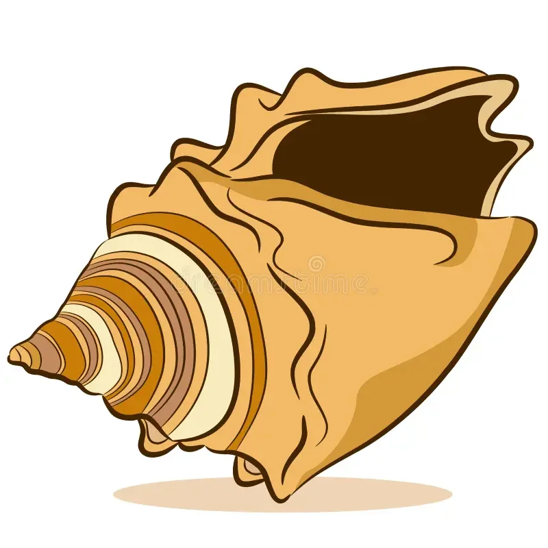 Illustration of a seashell with brown and beige stripes and an opening
