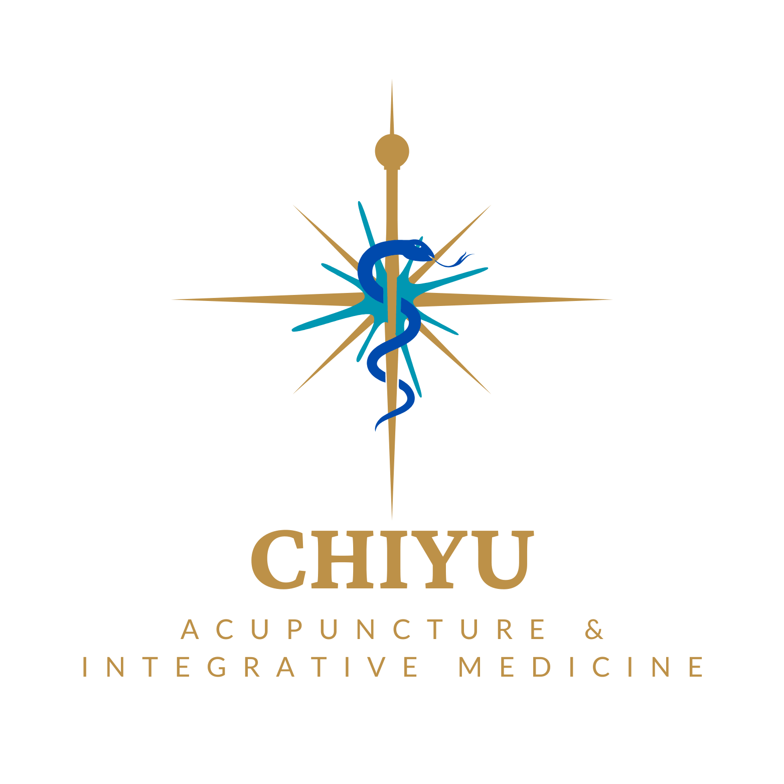 Logo for Chiyu Acupuncture & Integrative Medicine featuring a stylized compass rose with a second blue snake wrapping around its center.