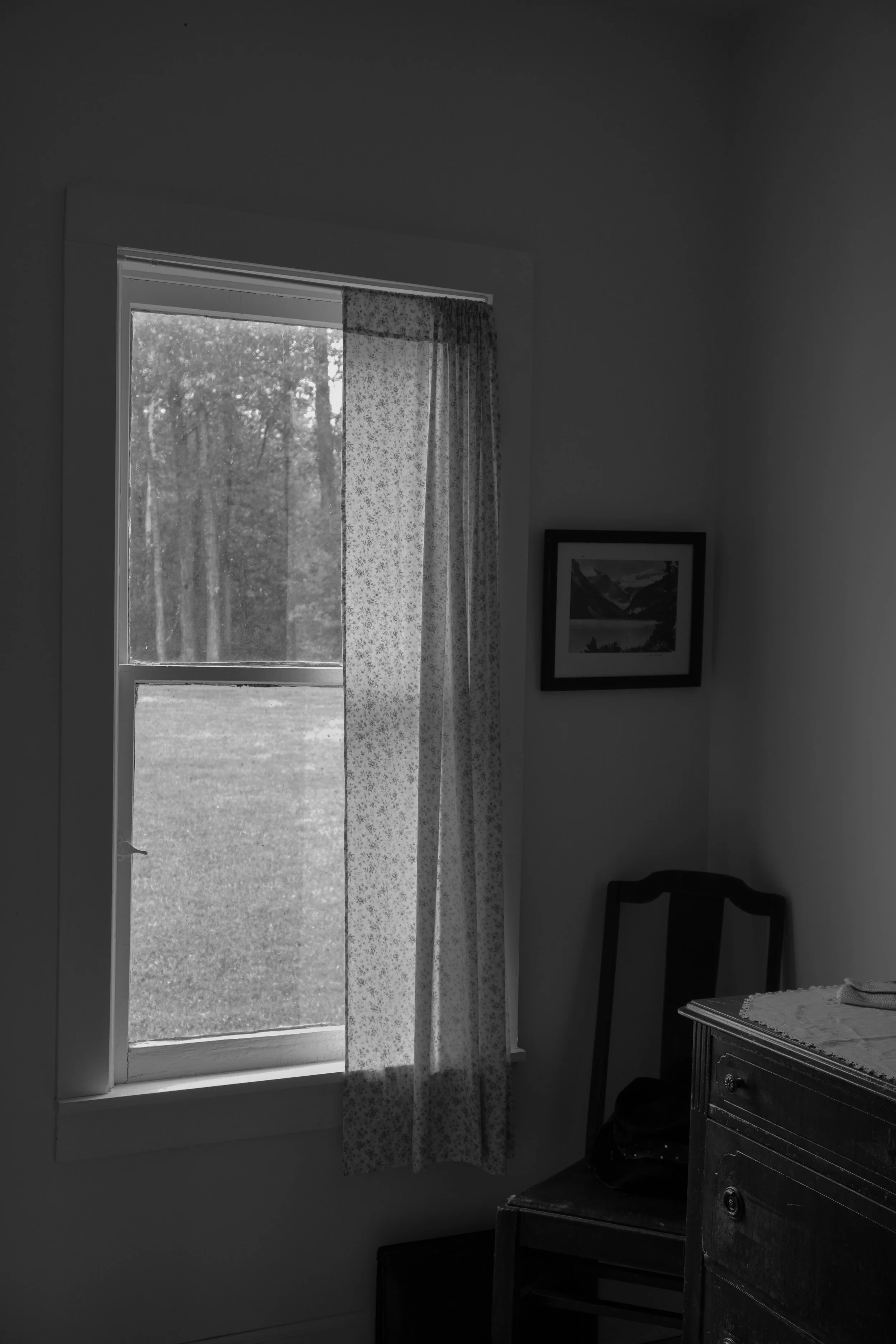 DSC00773.jpg