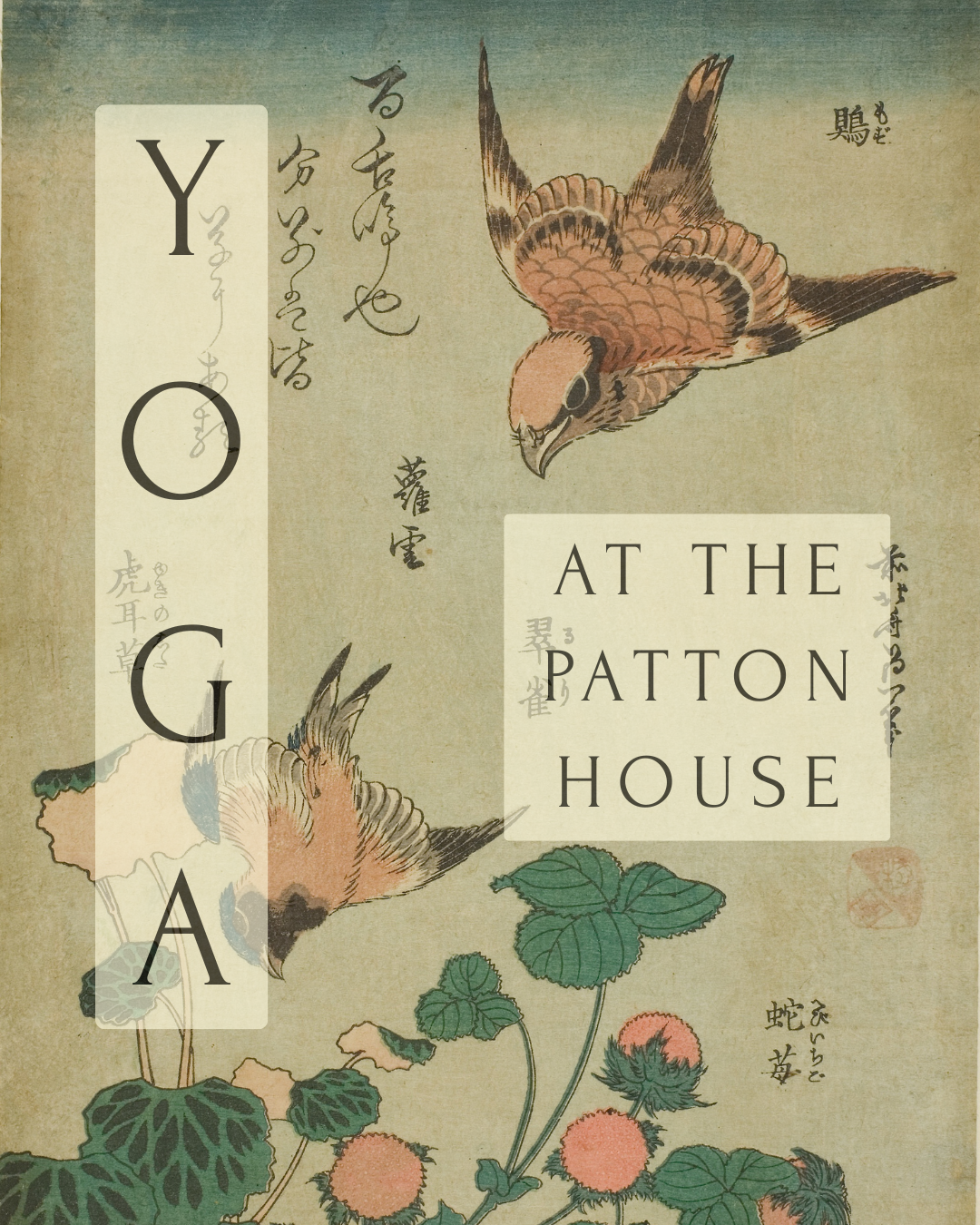 yoga @ the patton house