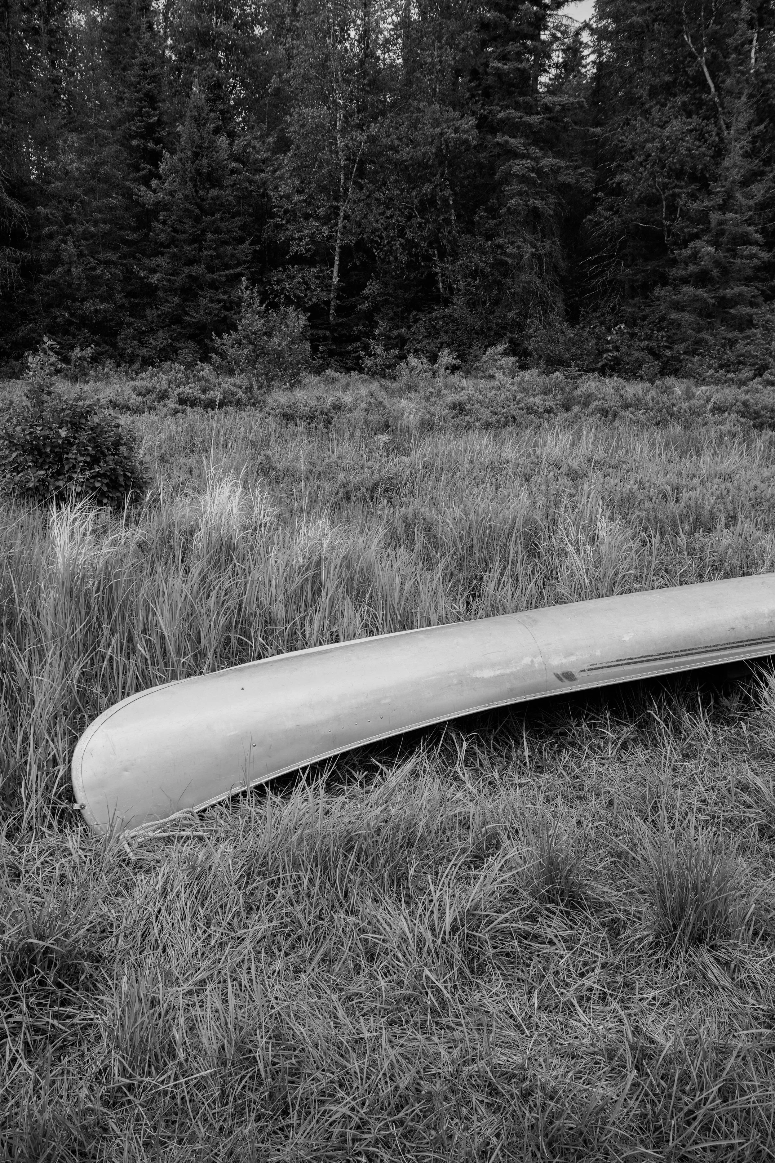 North Woods I.jpg
