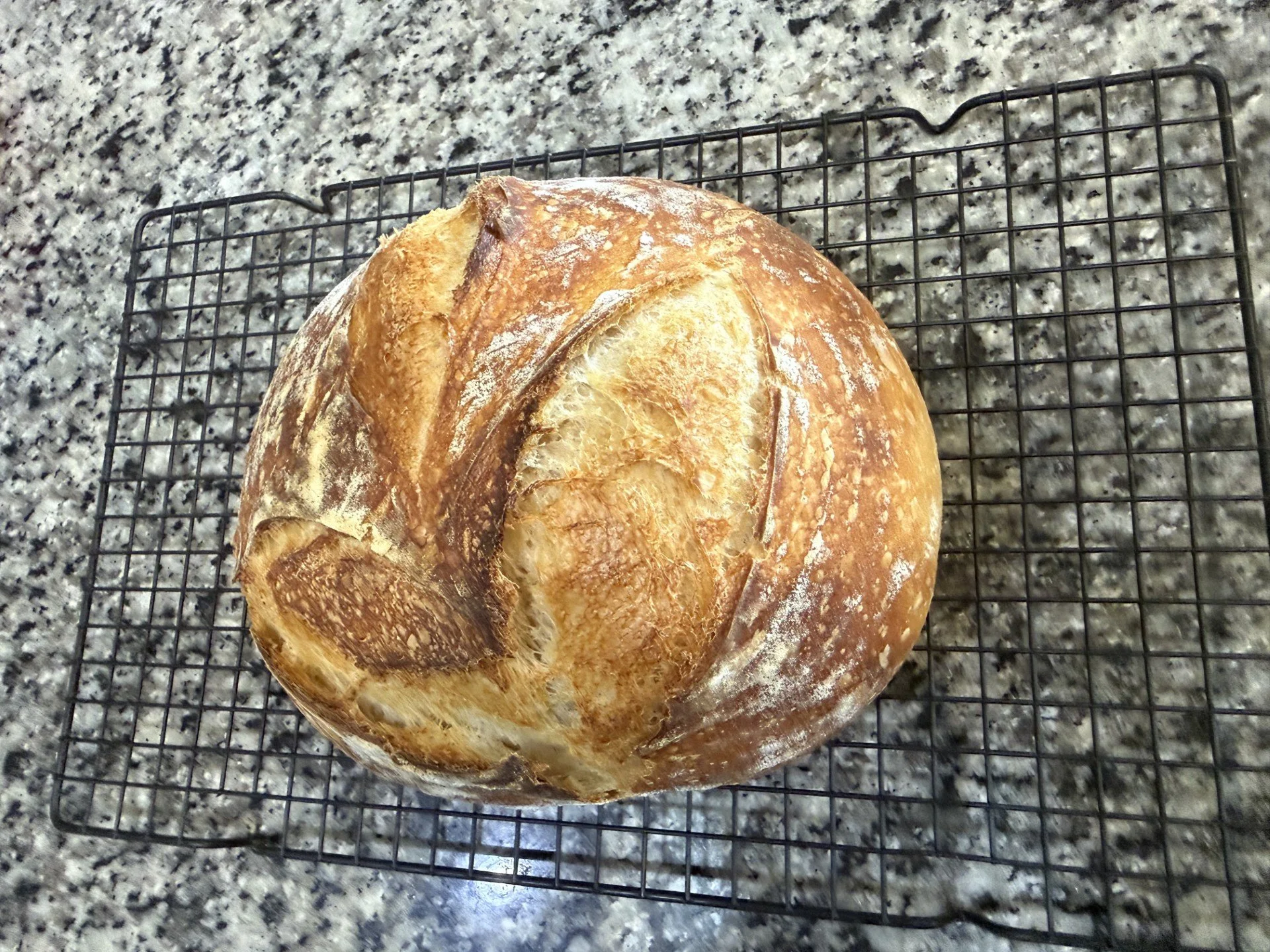 sourdough boule.jpeg