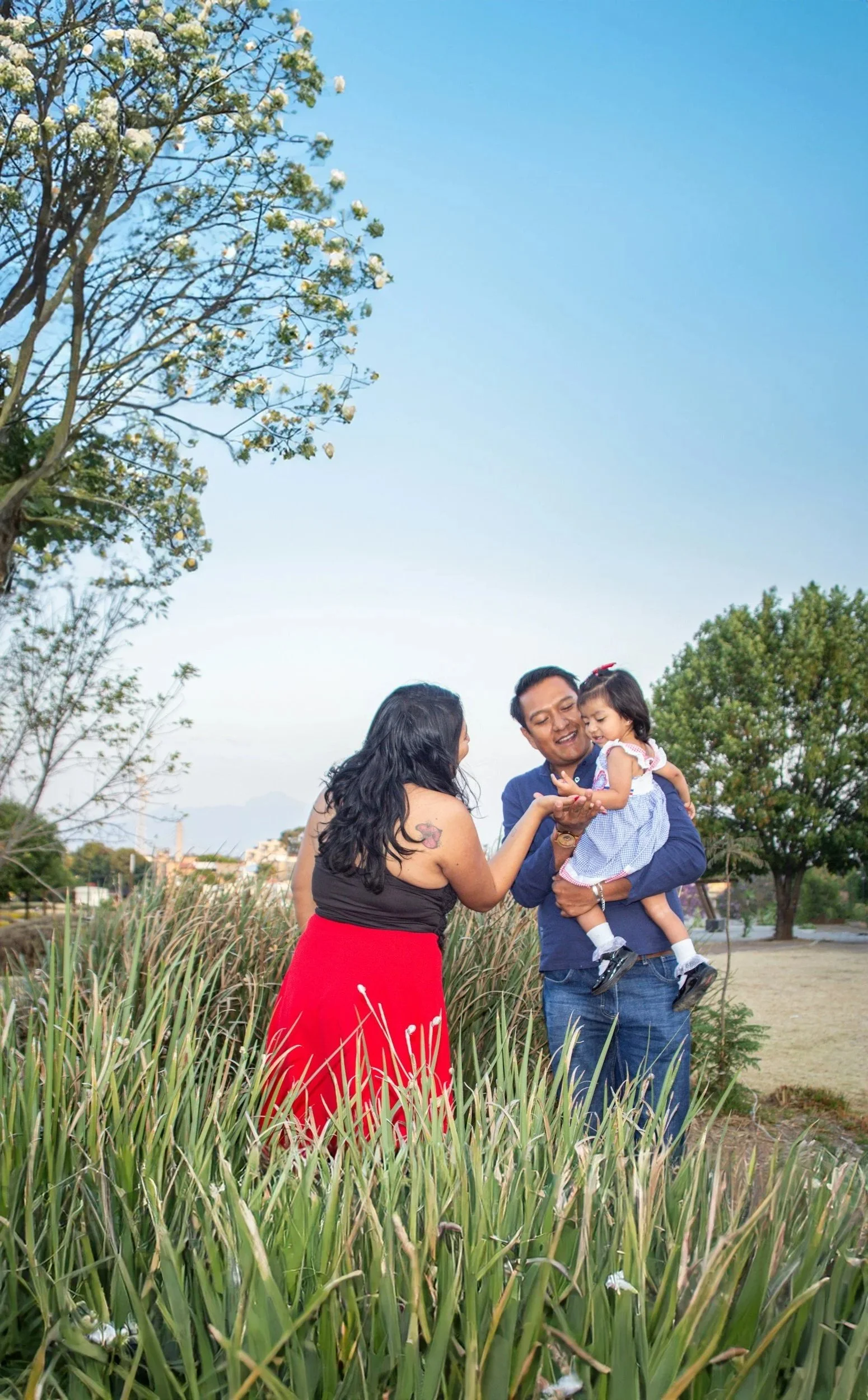 Adult holding a young child while another adult reaches toward them in a grassy park beneath a flowering tree.