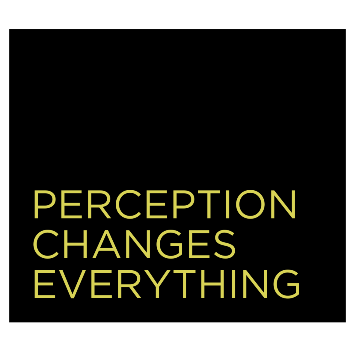 The Perception Project (Copy)