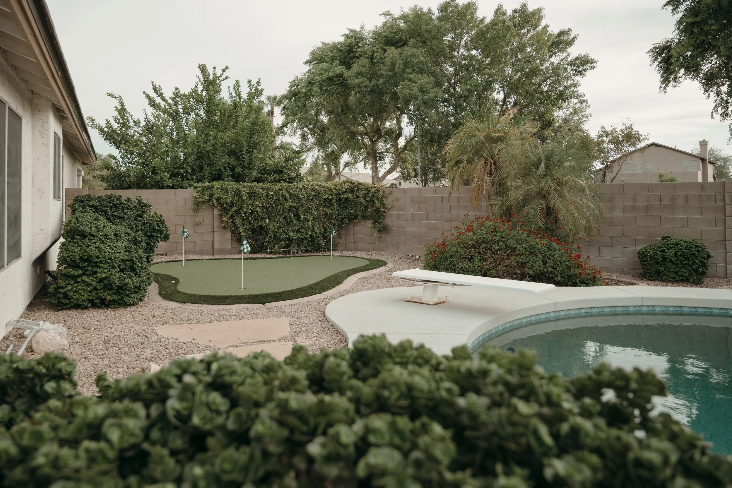 Pool & Backyard