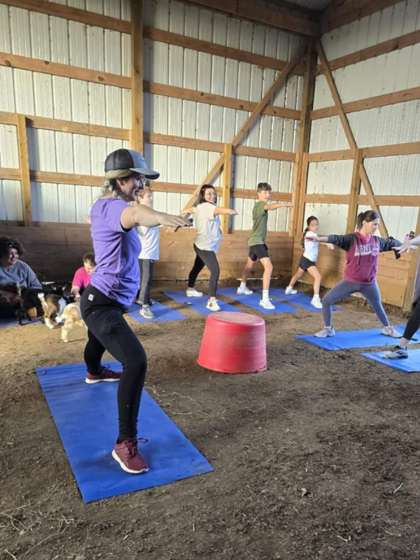 Group doing goat yoga in a barn