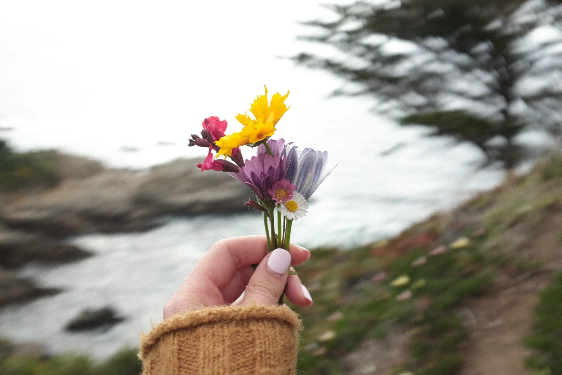 Surrender, Trust, and the Unchanging Character of God