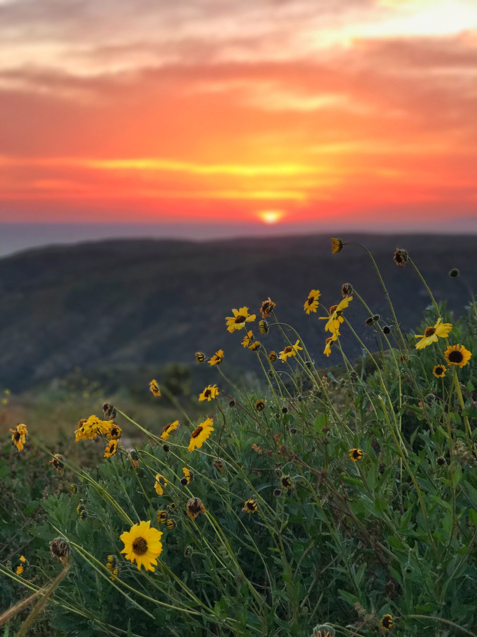 How Do I Know What My God-Given Gift(s) Are?