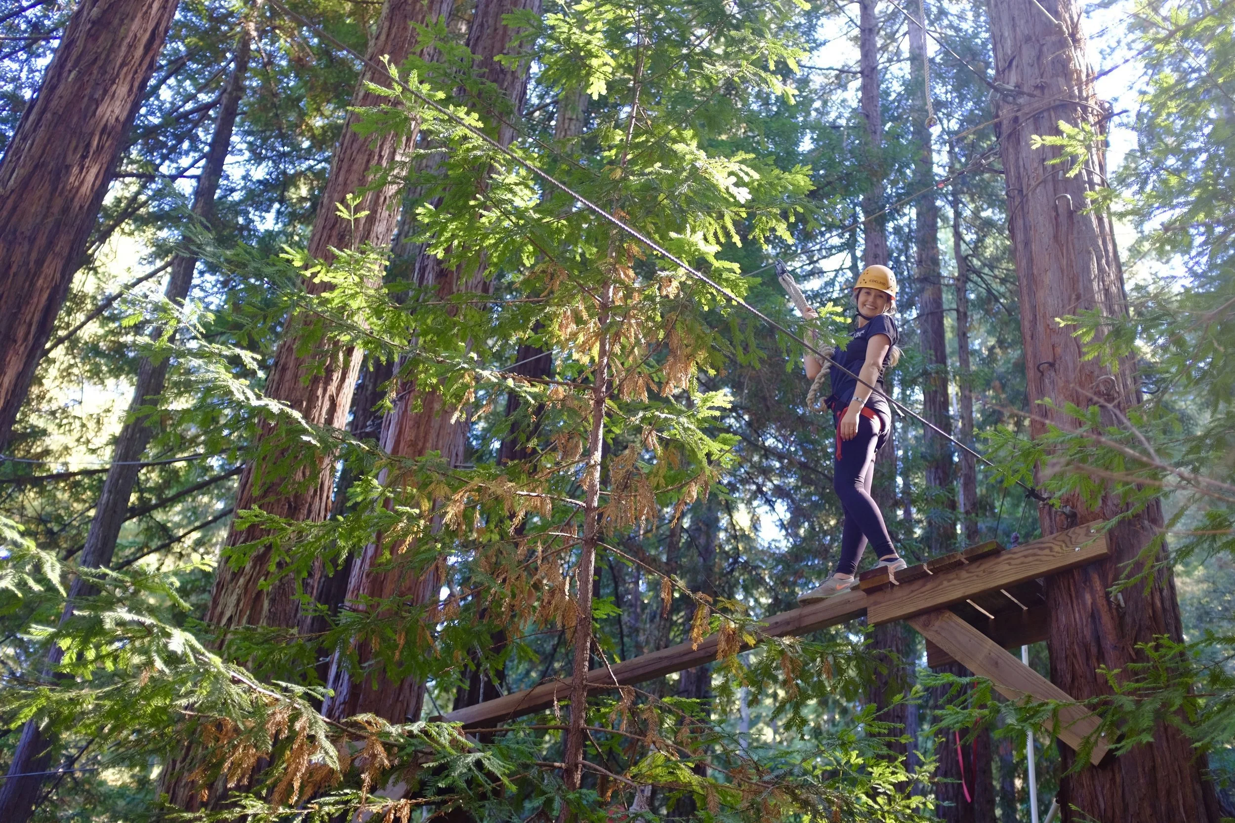 Words on Facing Your Fears and Embracing Freedom