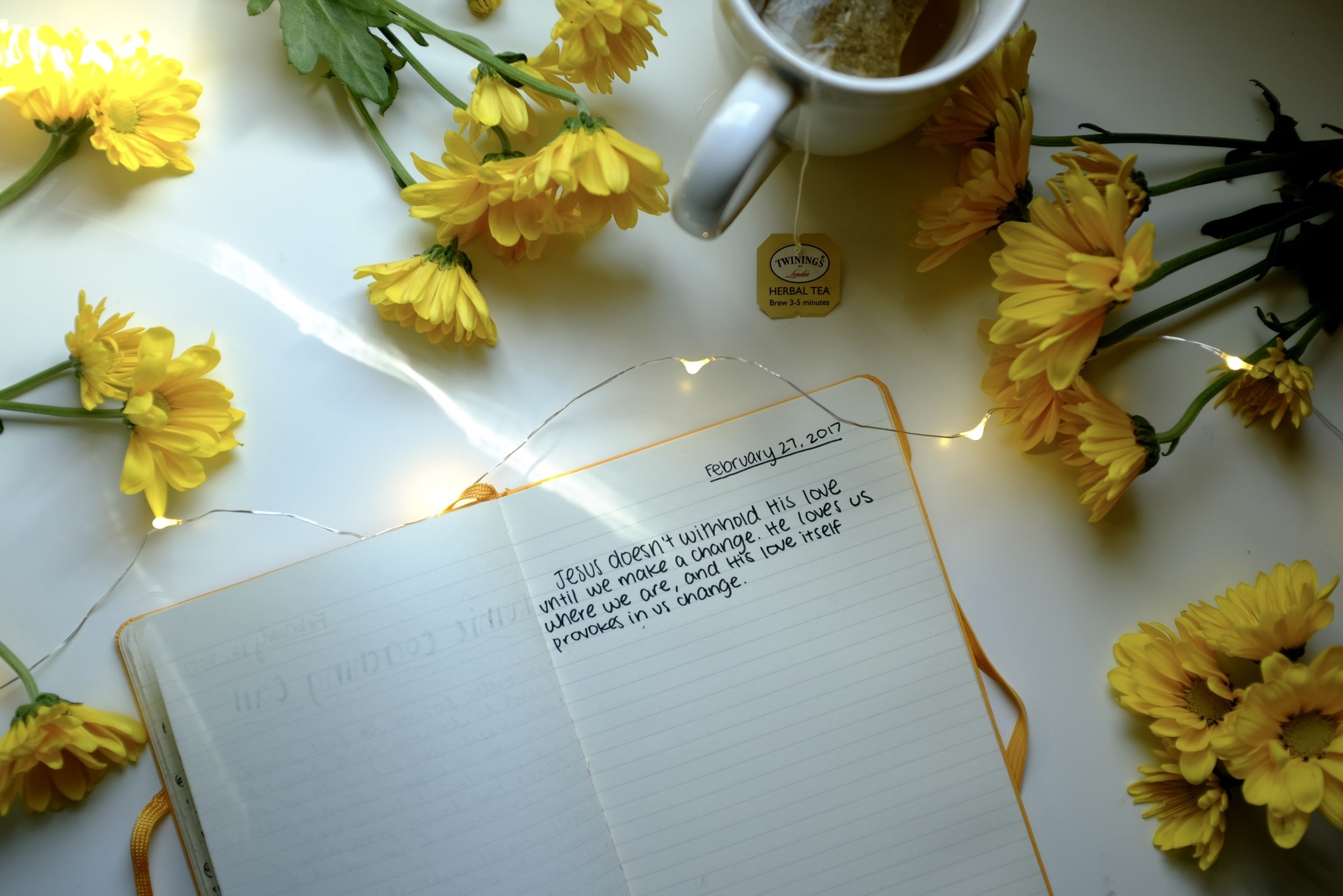 Loving Others: The Human Way and the Better Way