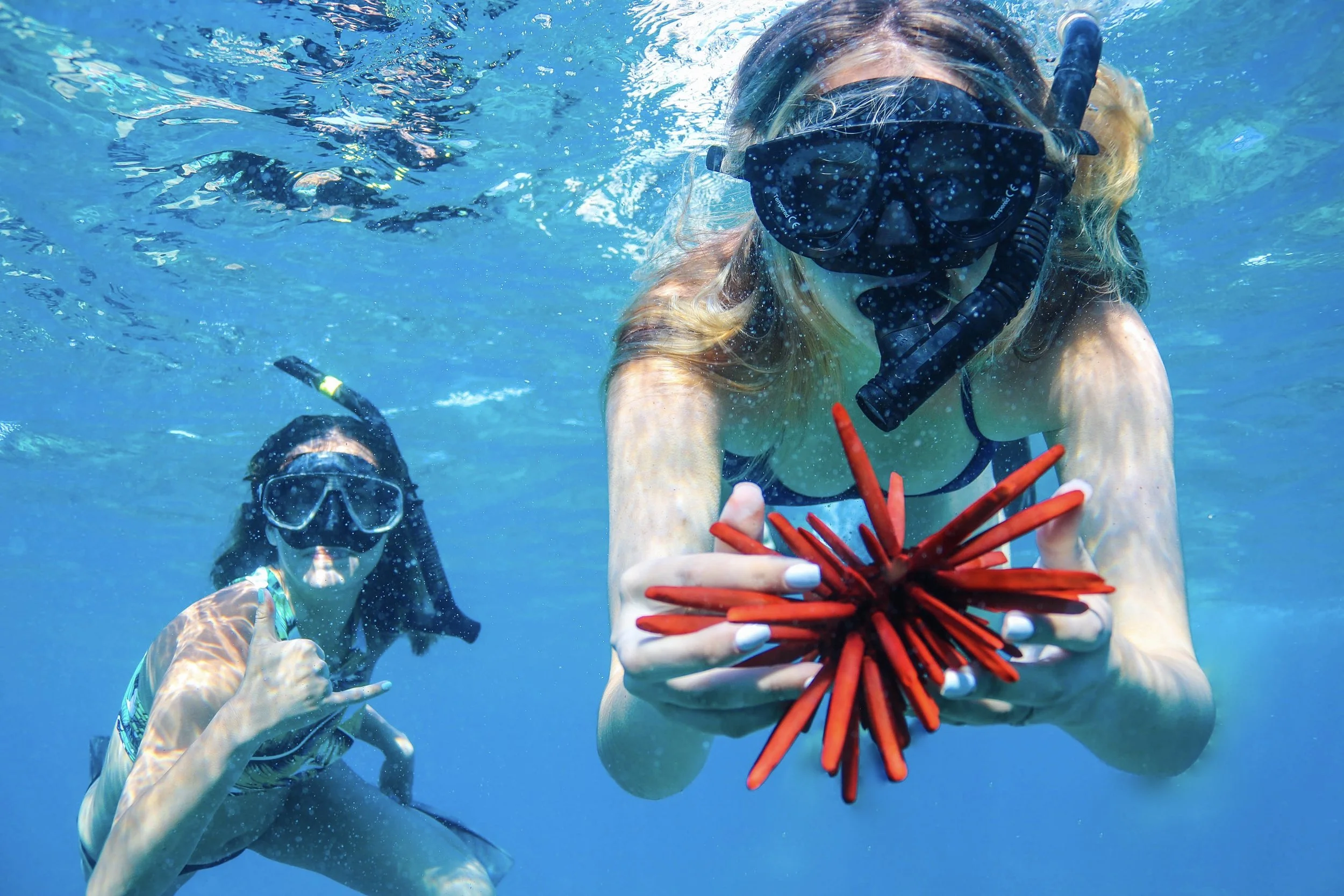 13 Things To Do On Oahu: A One Week Island Itinerary
