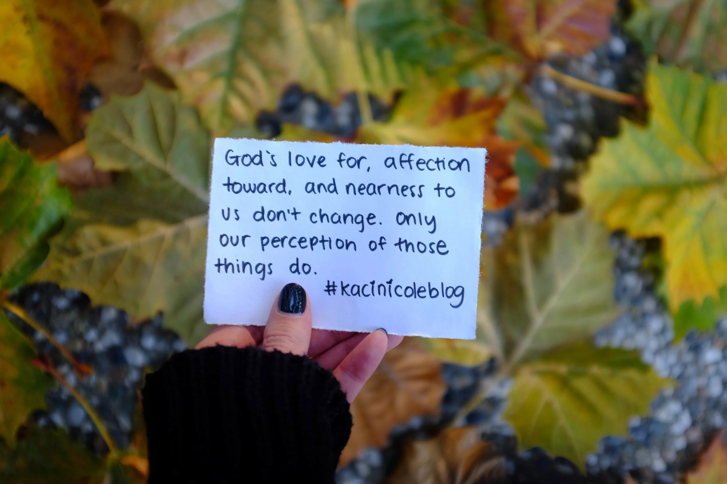 The Simple Thing That Changed How I See My Current Circumstances