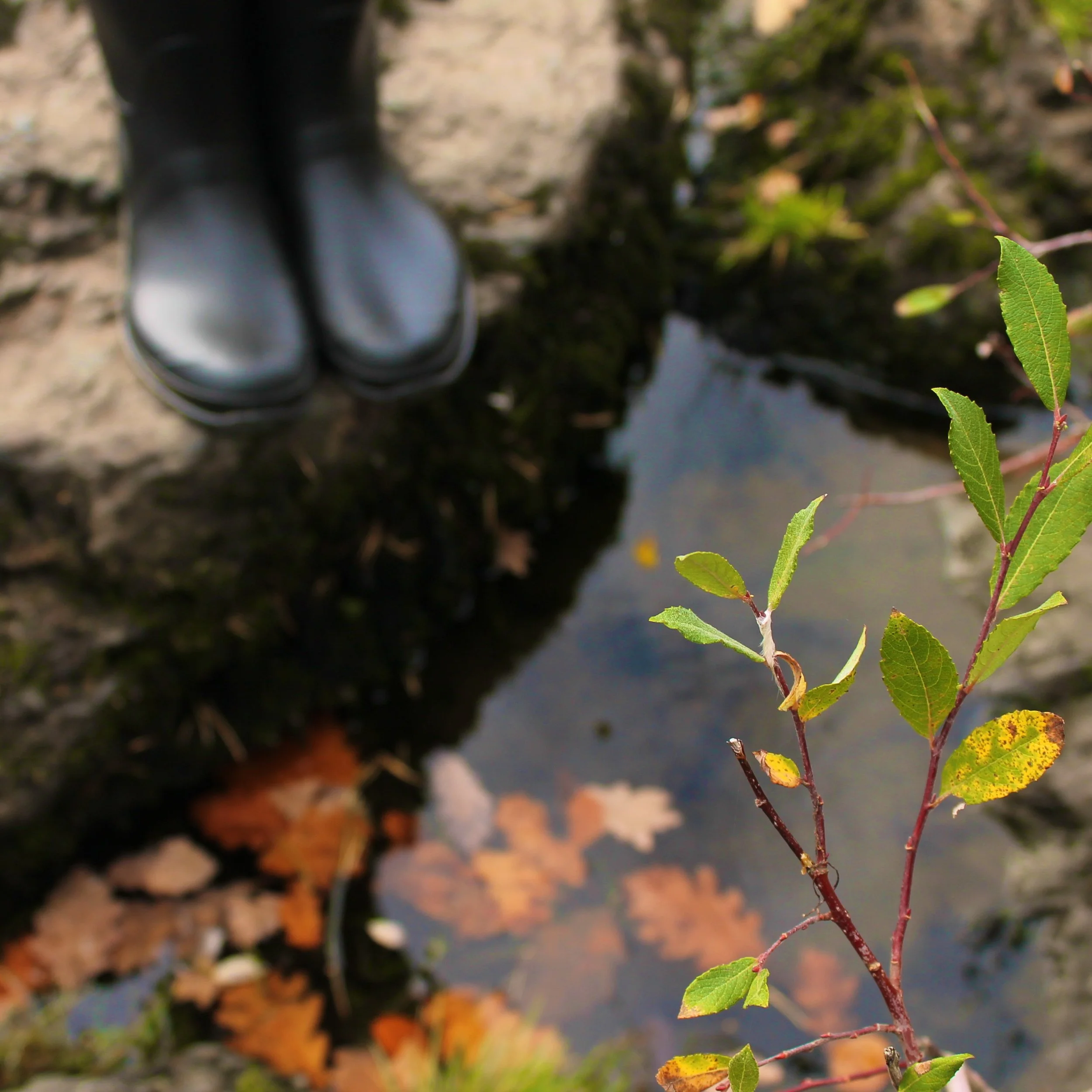 The Lies of Scarcity (Why There's Room for You, and Her Too)