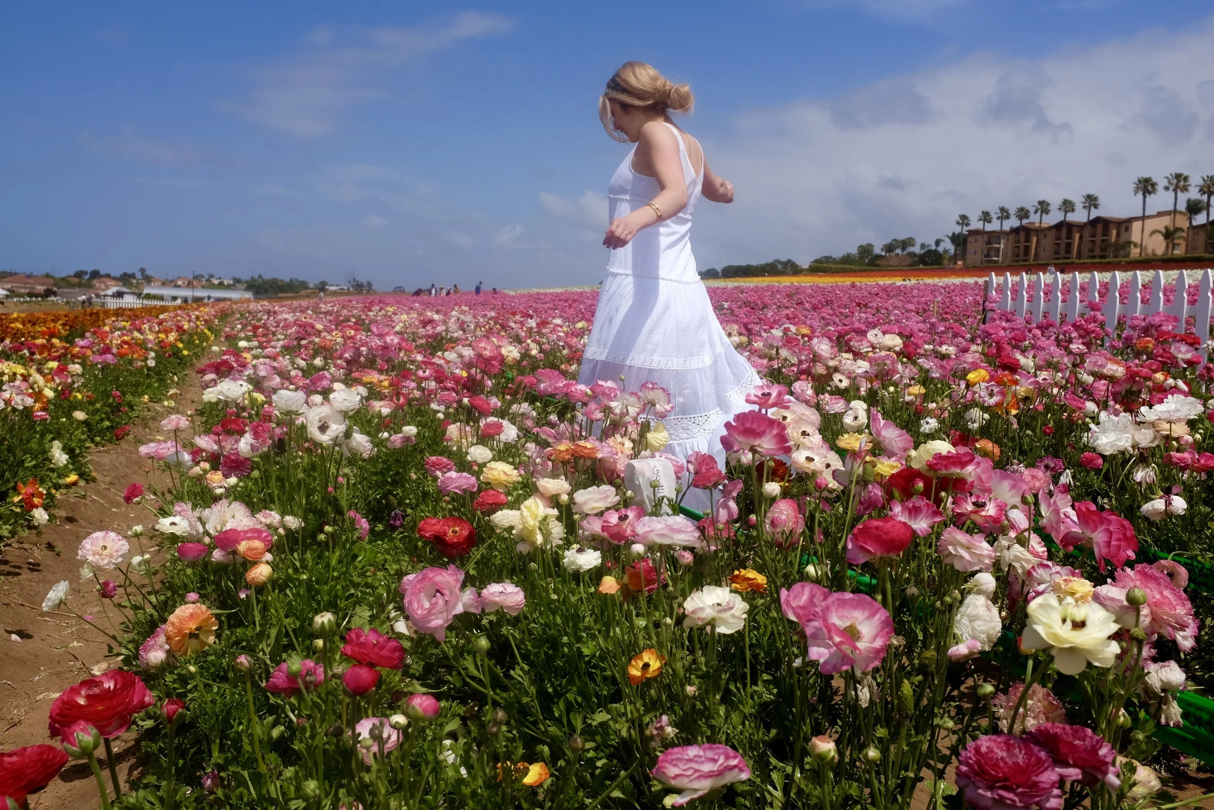 What I've Learned Through a Season of Singleness