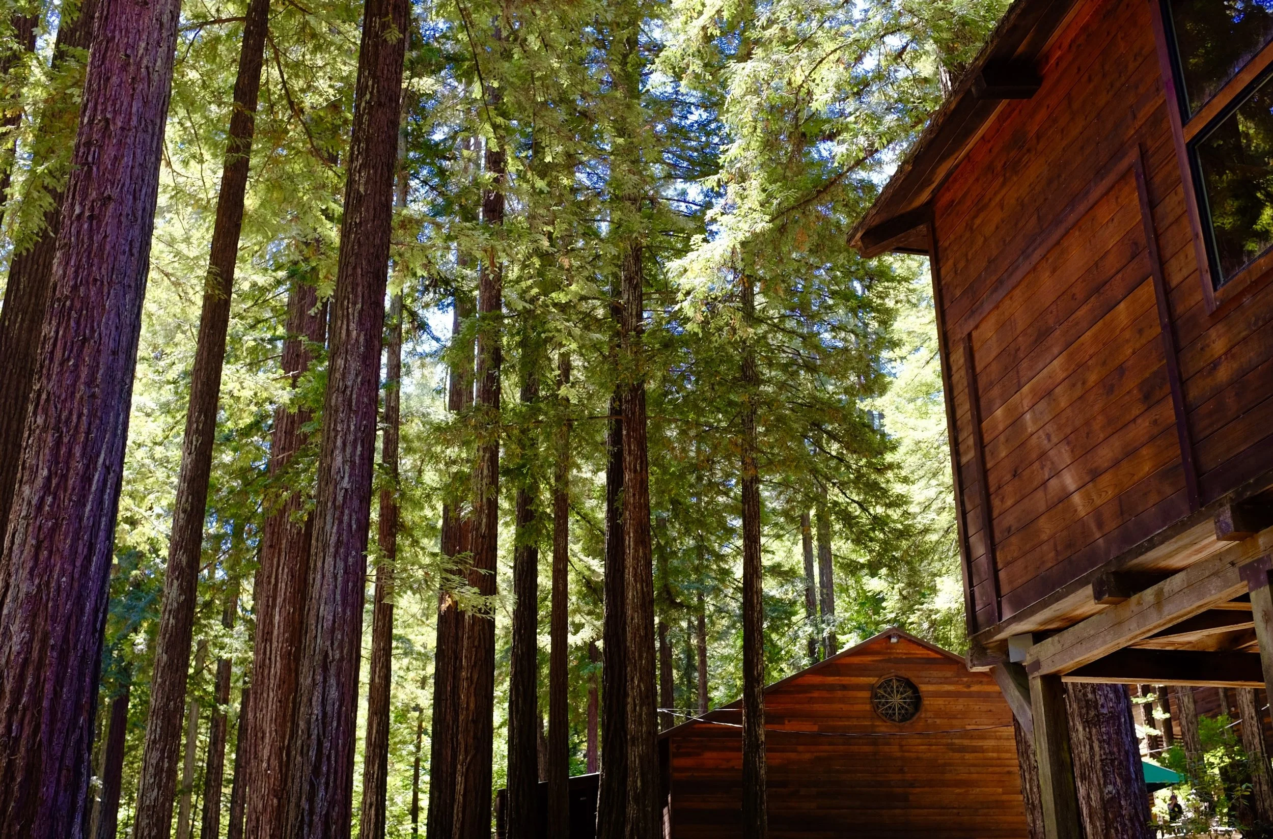 Cultivating Church Community: Learning to Slow Down and Show Up